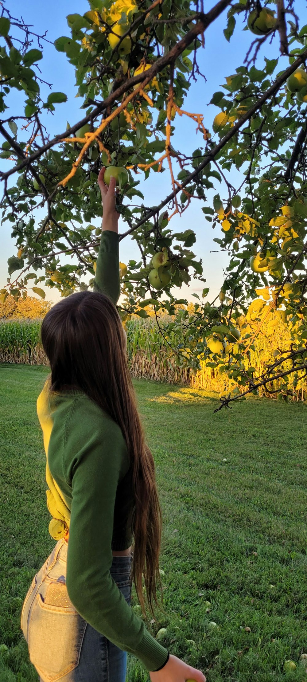 a girl holding a tree branch