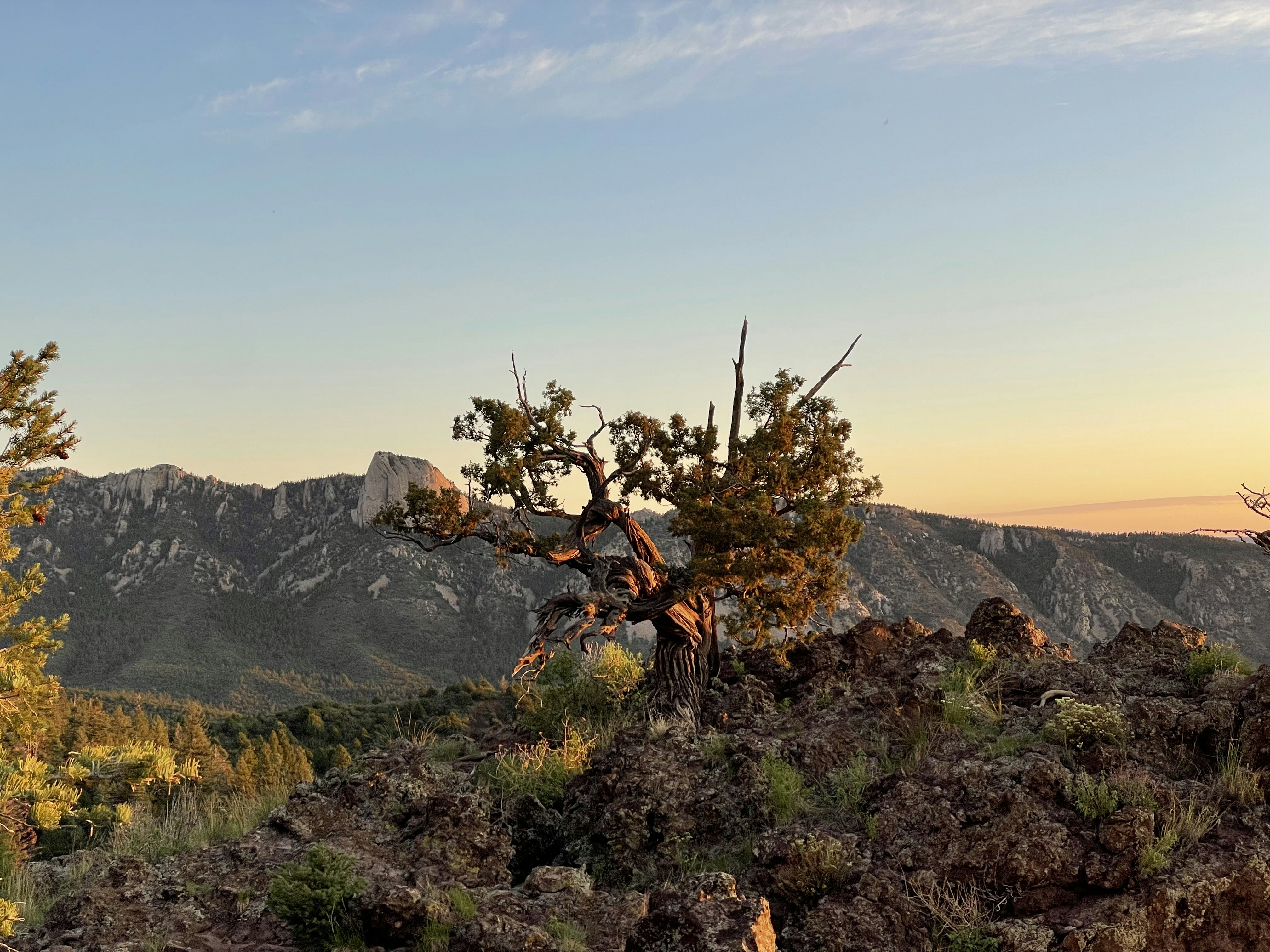 Photo by badensanderford