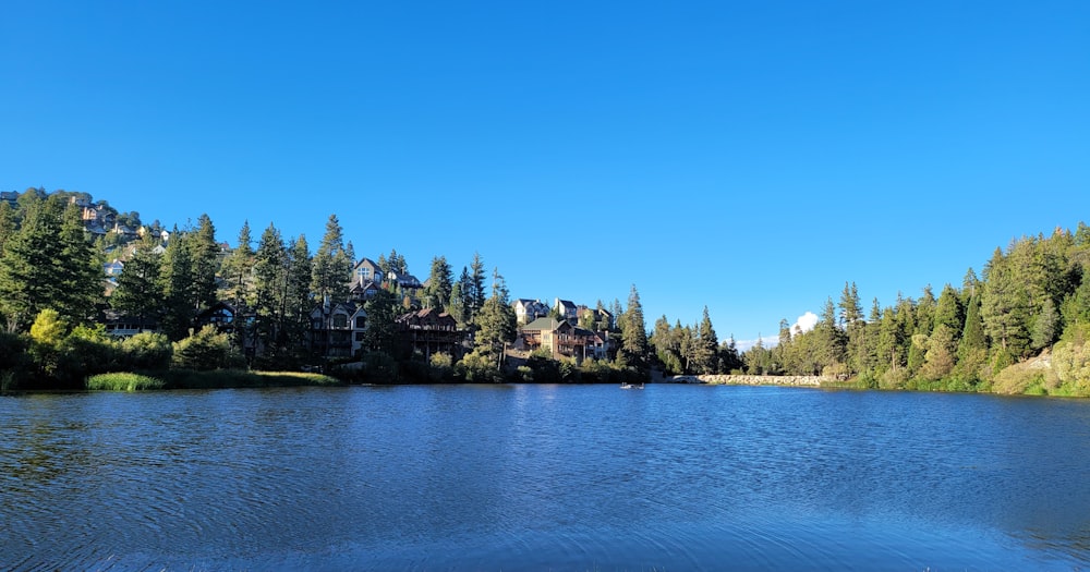 a lake with trees and a house