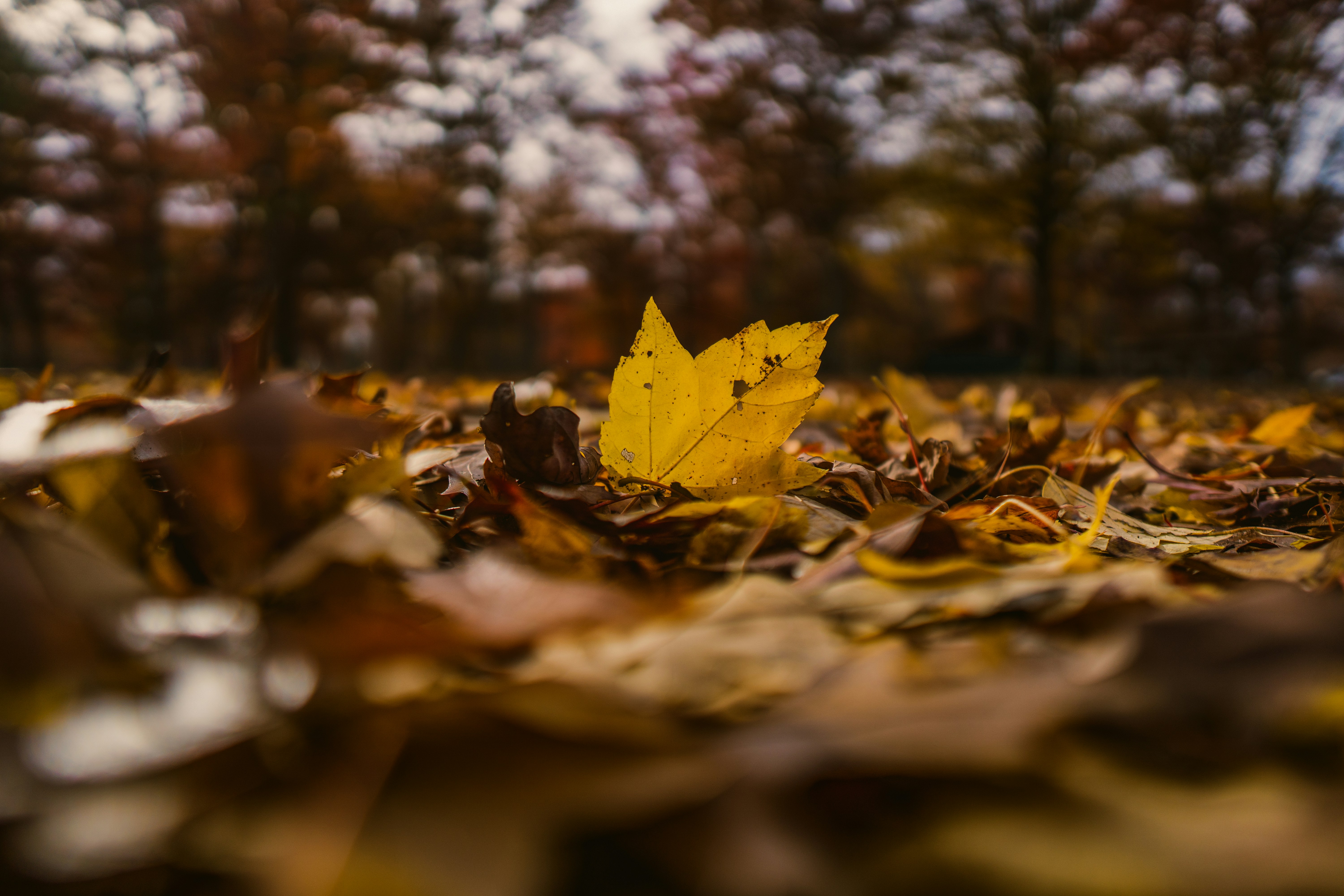 Photo by emmanuelphaeton