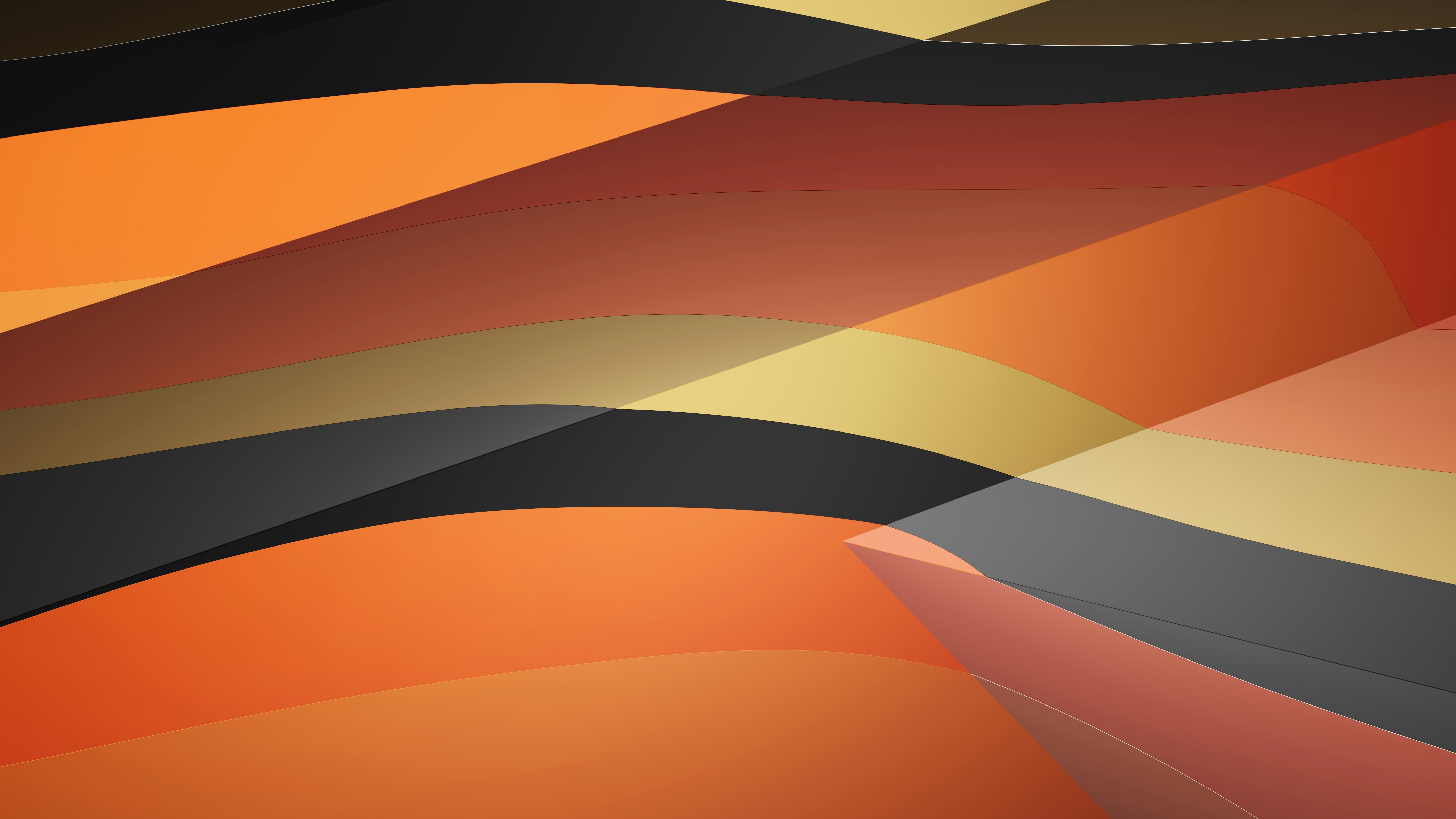 Photo by blenderdesigner