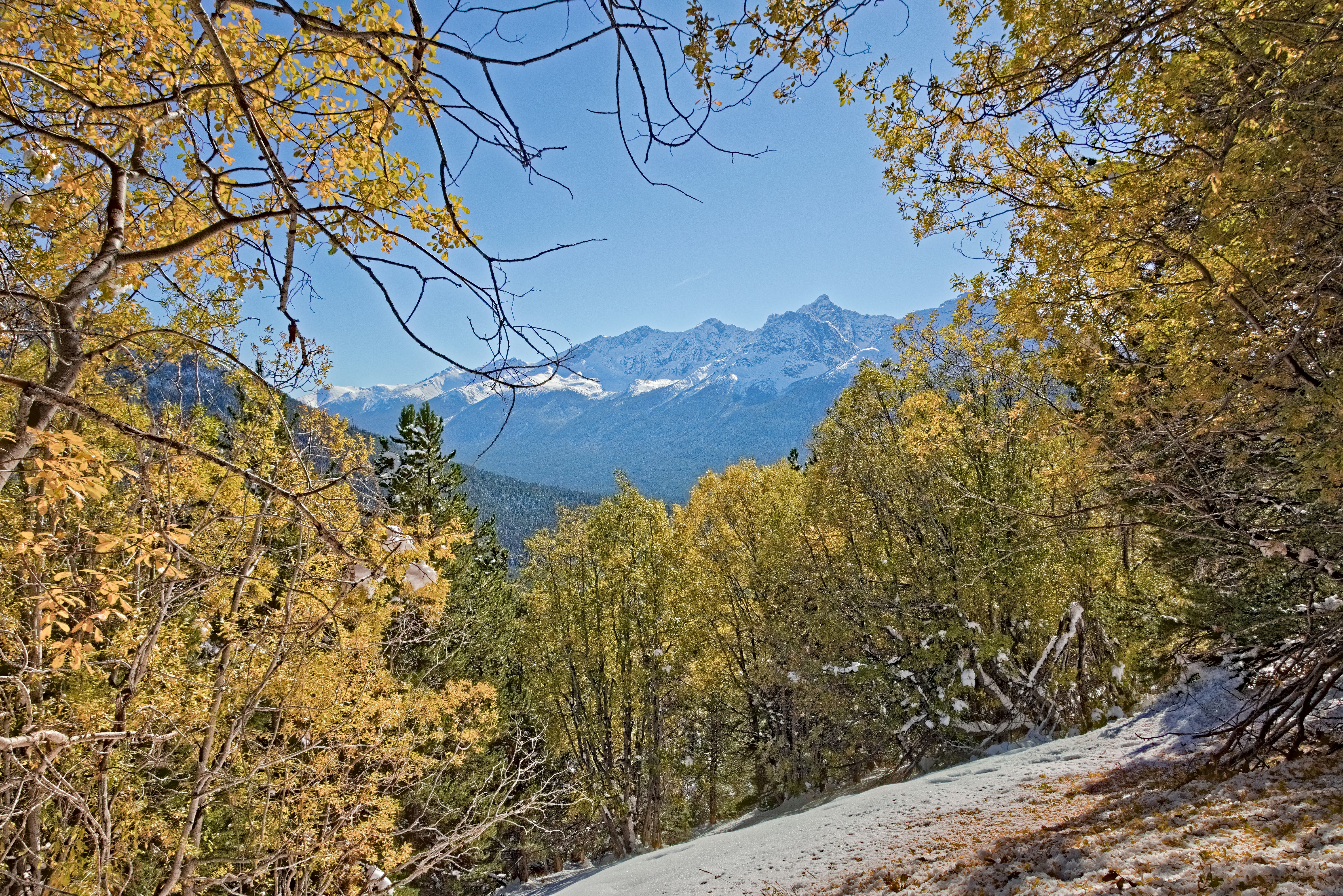Une route arborée sur le côté