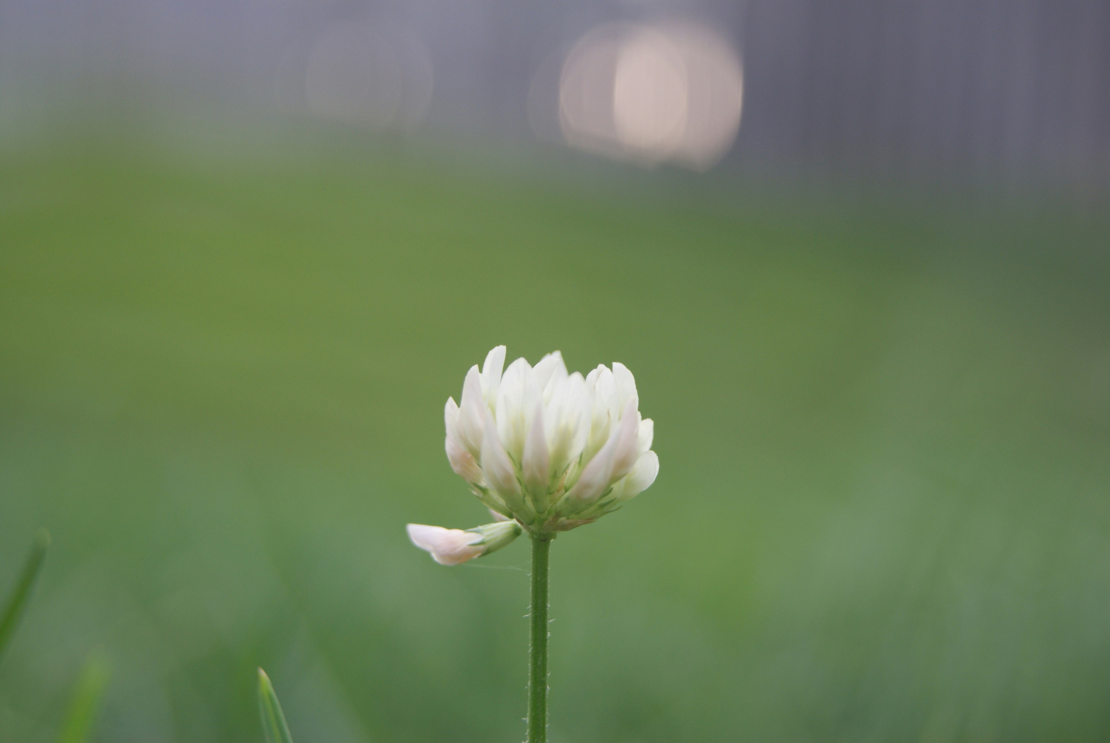 Photo by e_snaps