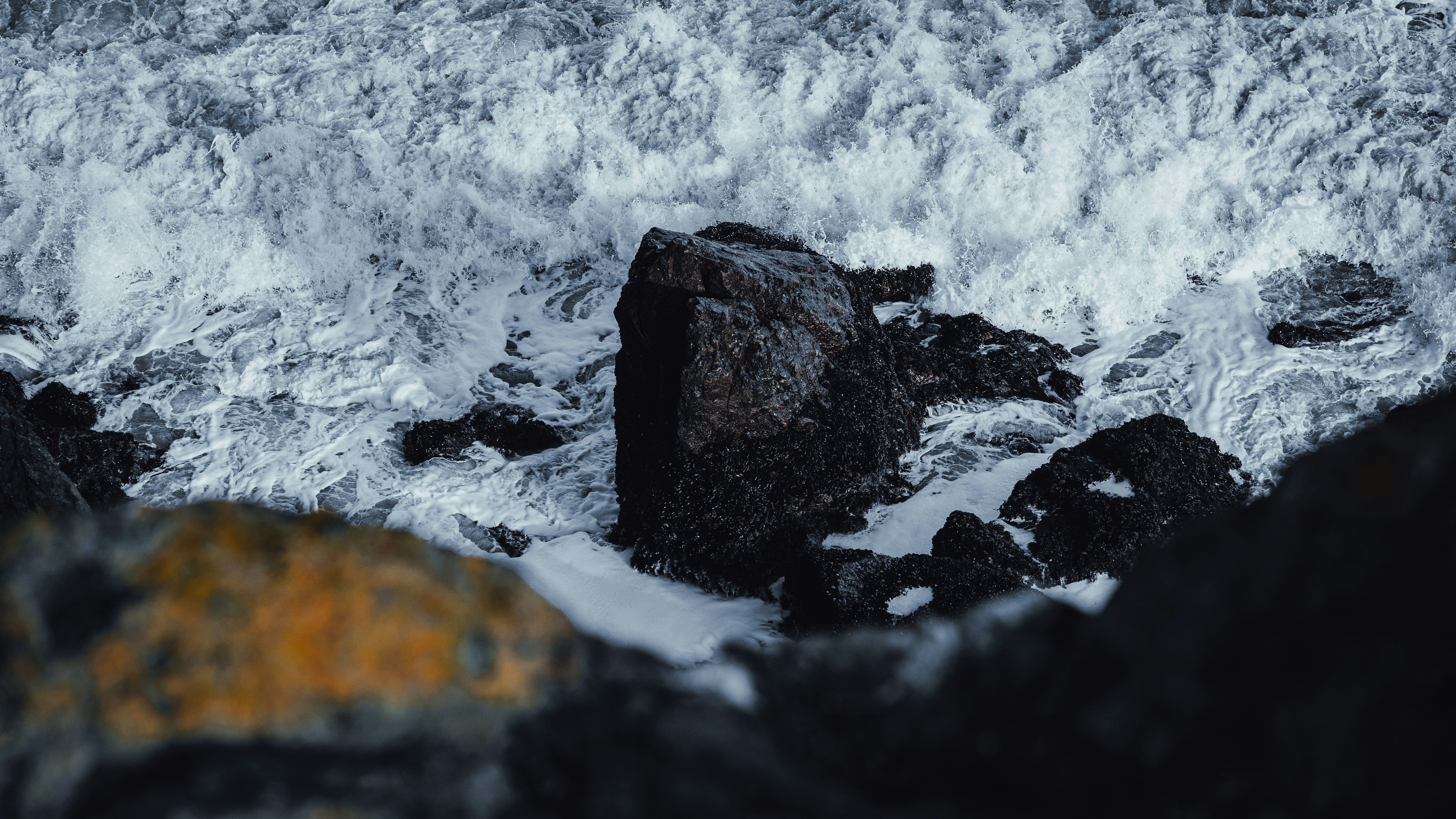 Photo by kalaniparker