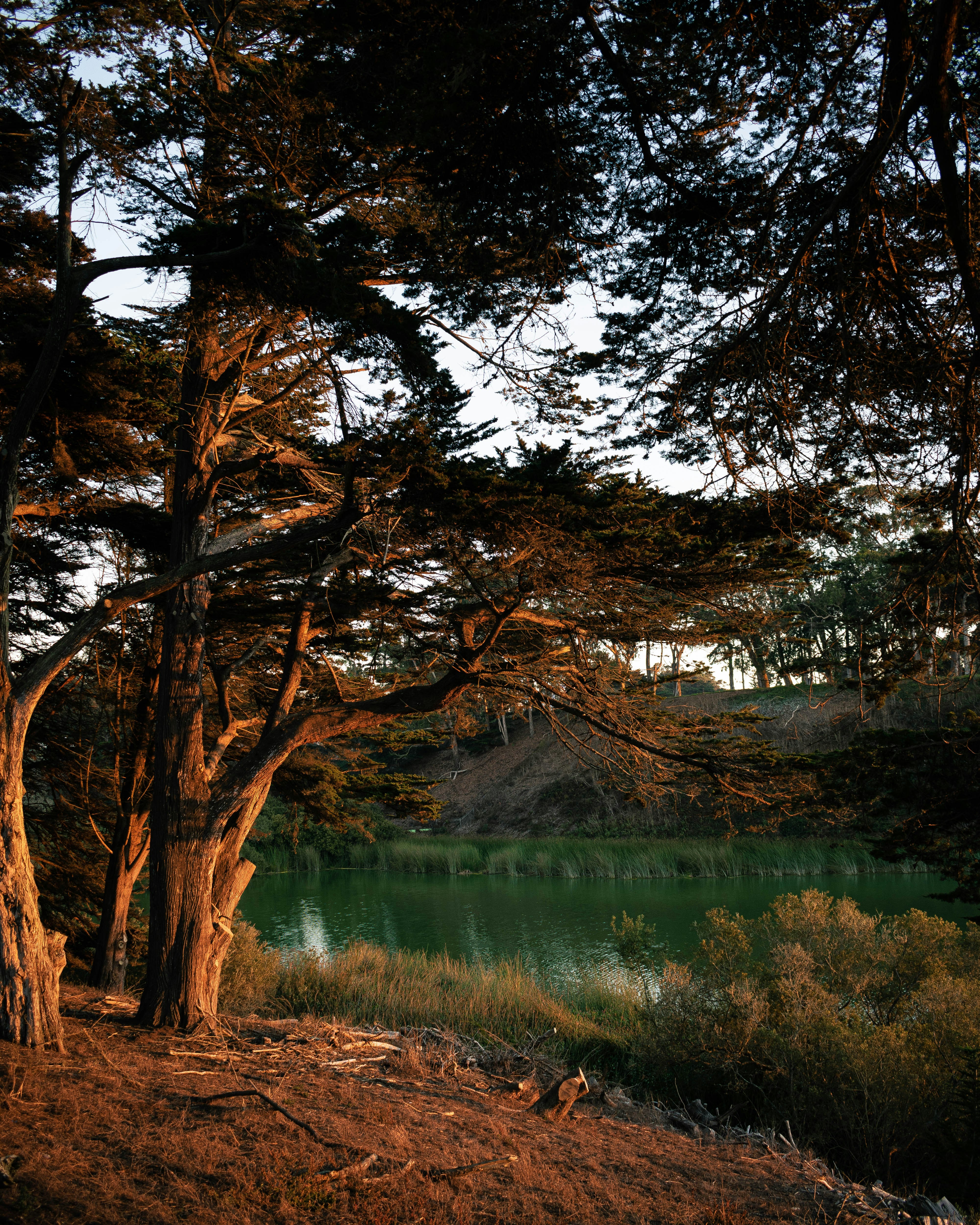 Photo by sebbo_photography