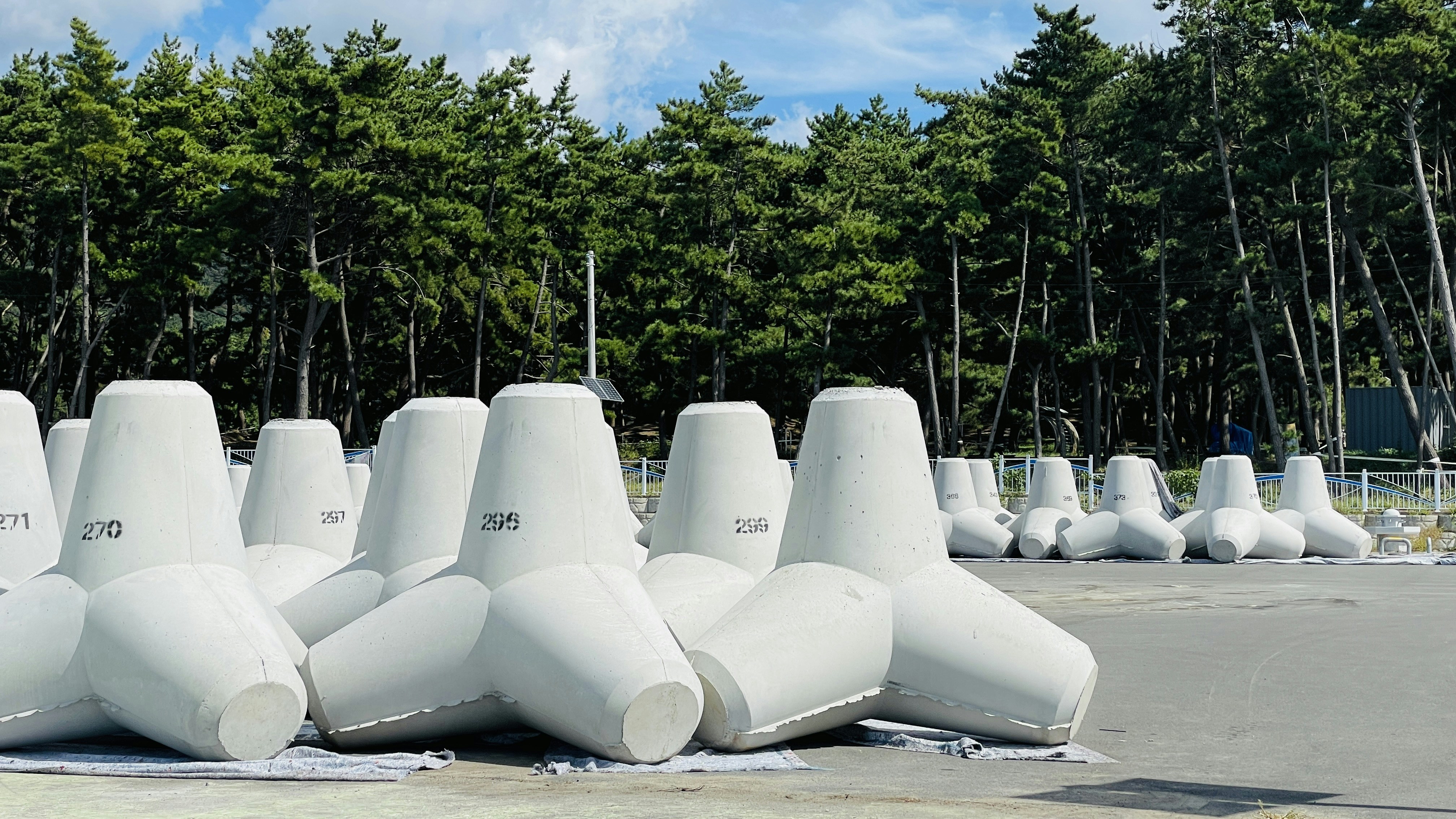 Renewable energy and carbon removal technology