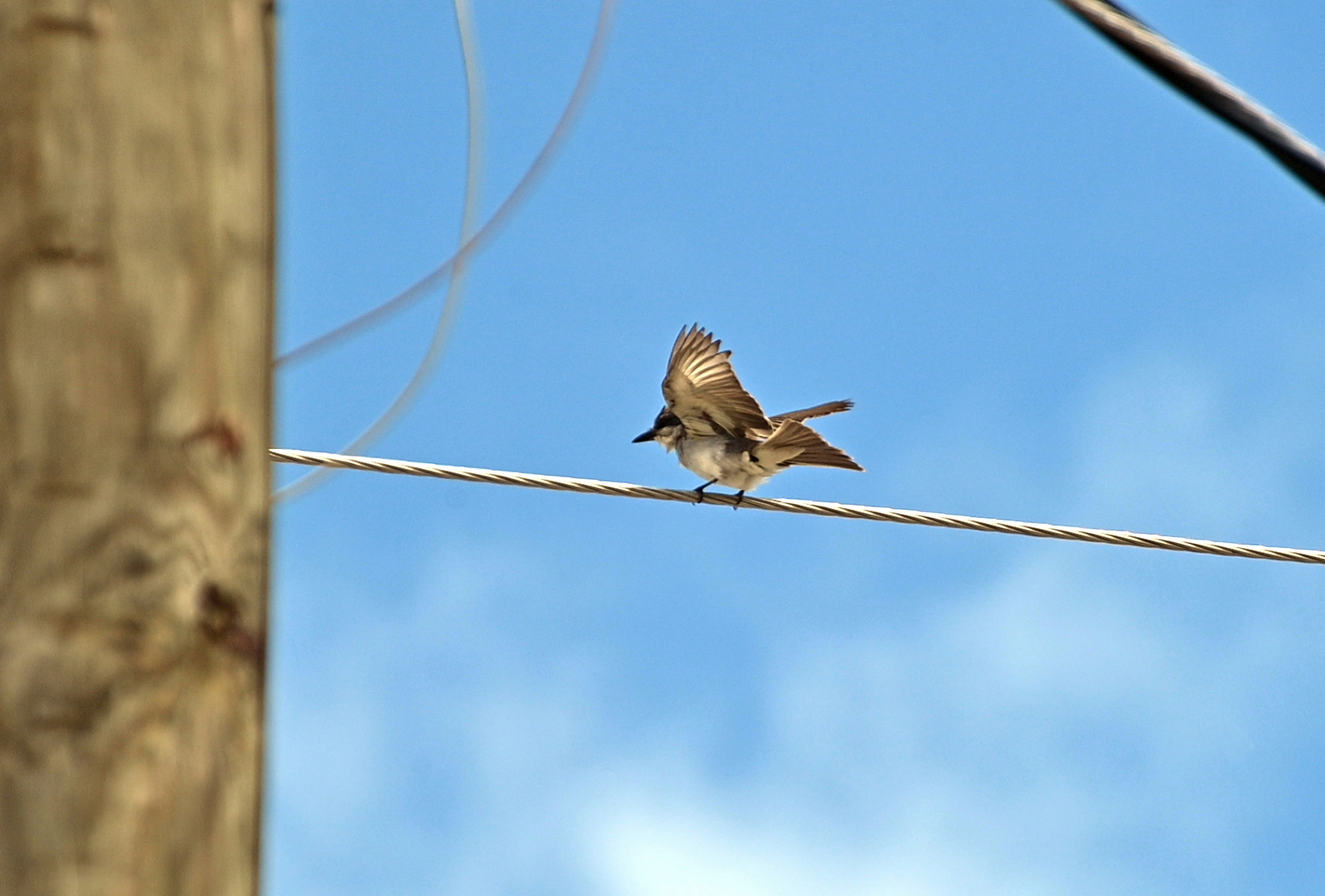 Photo by climatechangevi