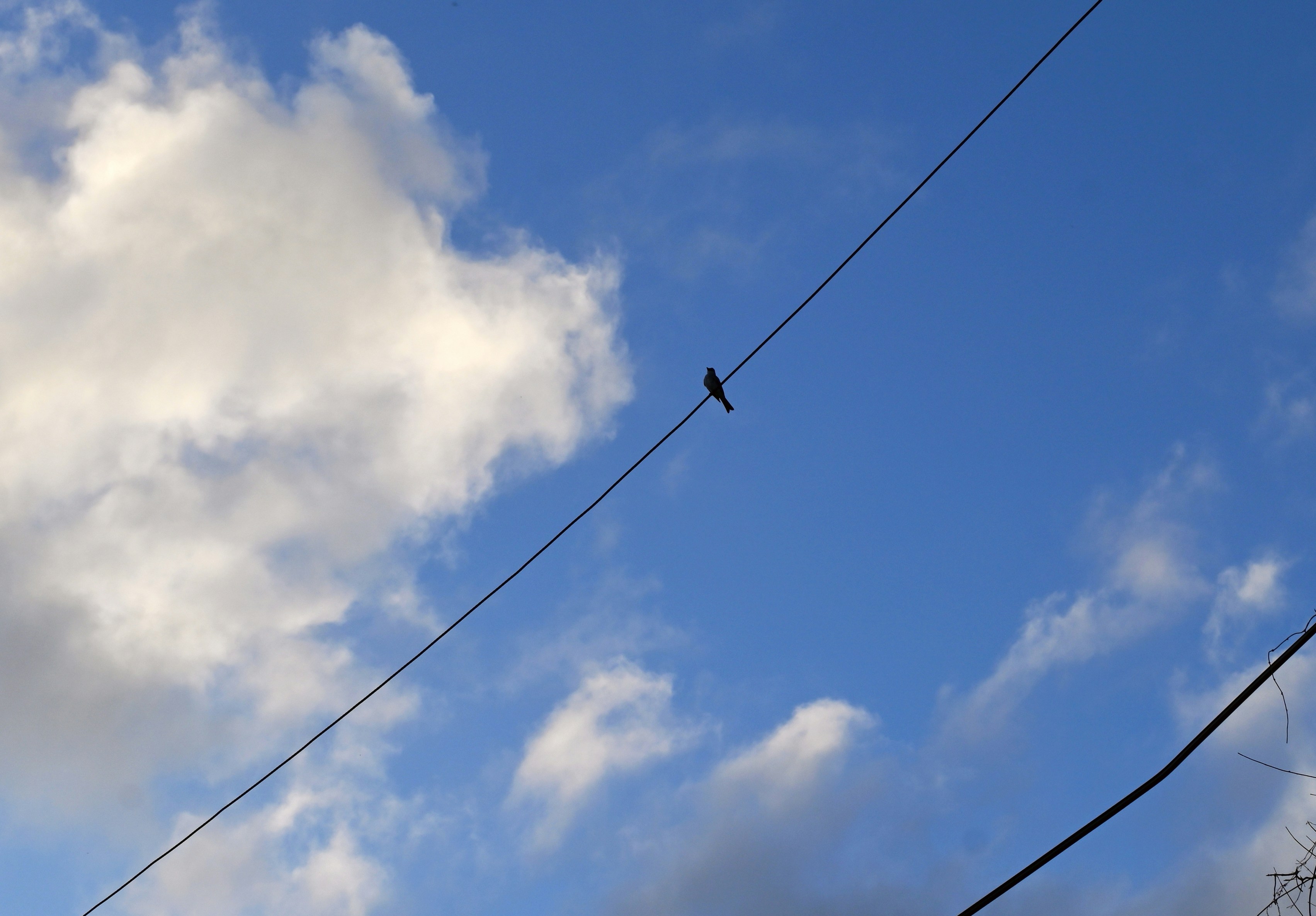 Photo by climatechangevi