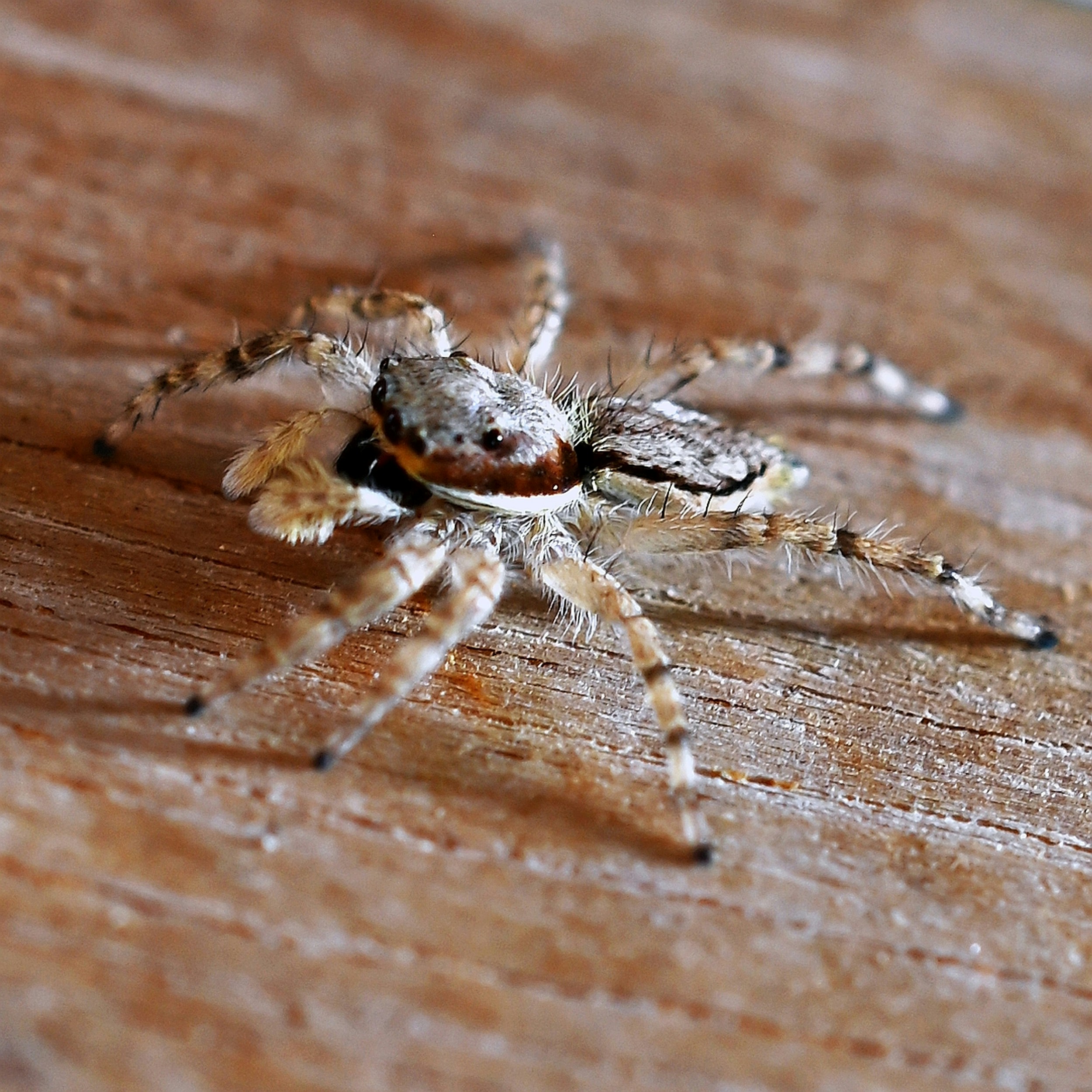 Photo by climatechangevi