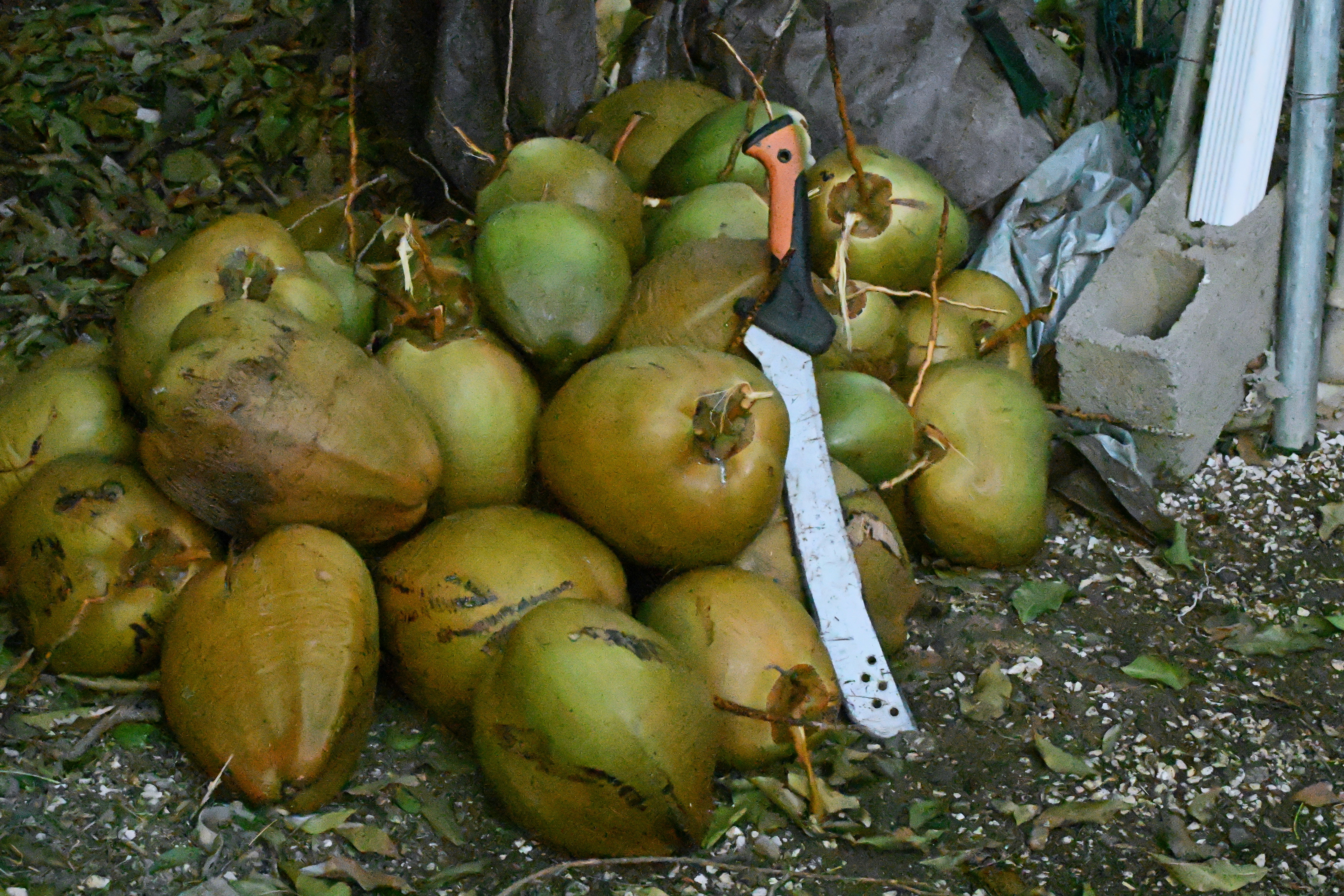 Photo by climatechangevi