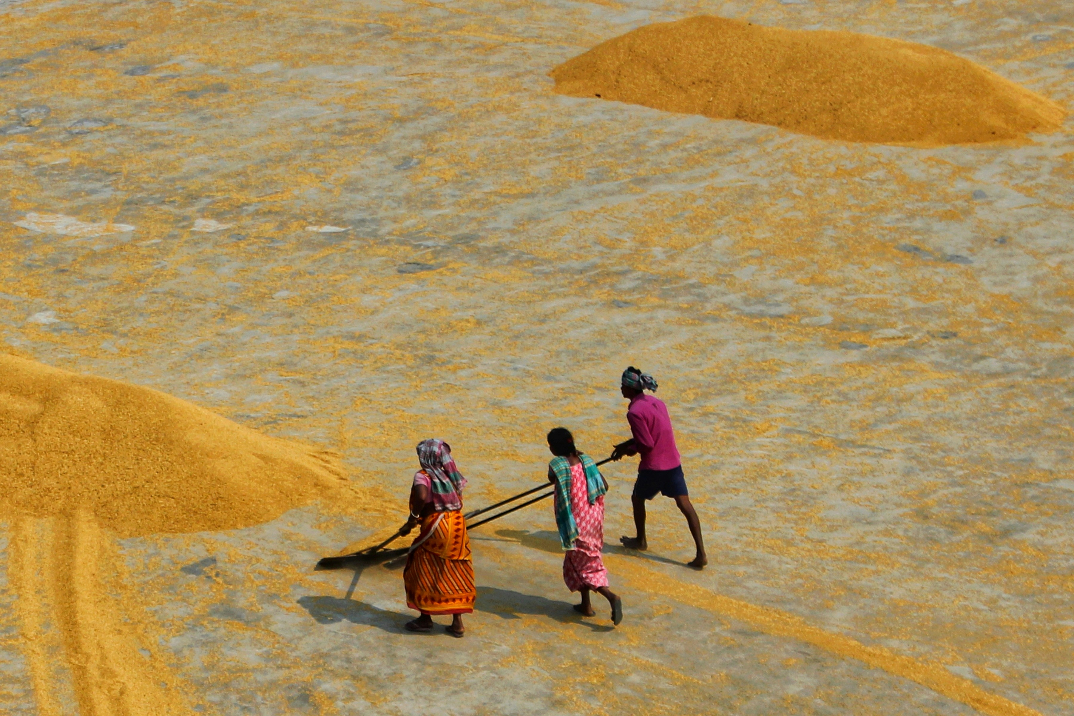 Photo by dibakar16roy