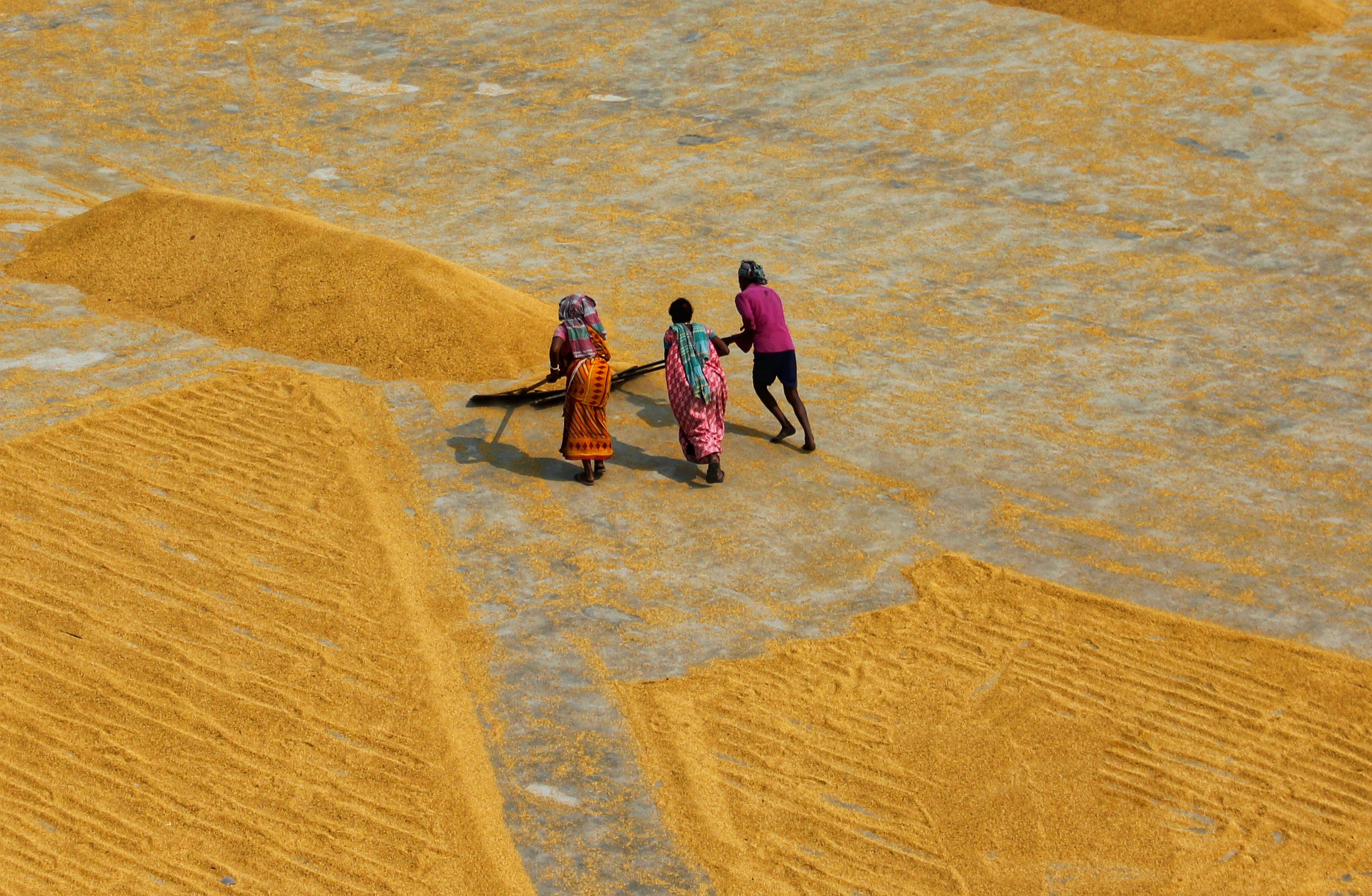 Photo by dibakar16roy