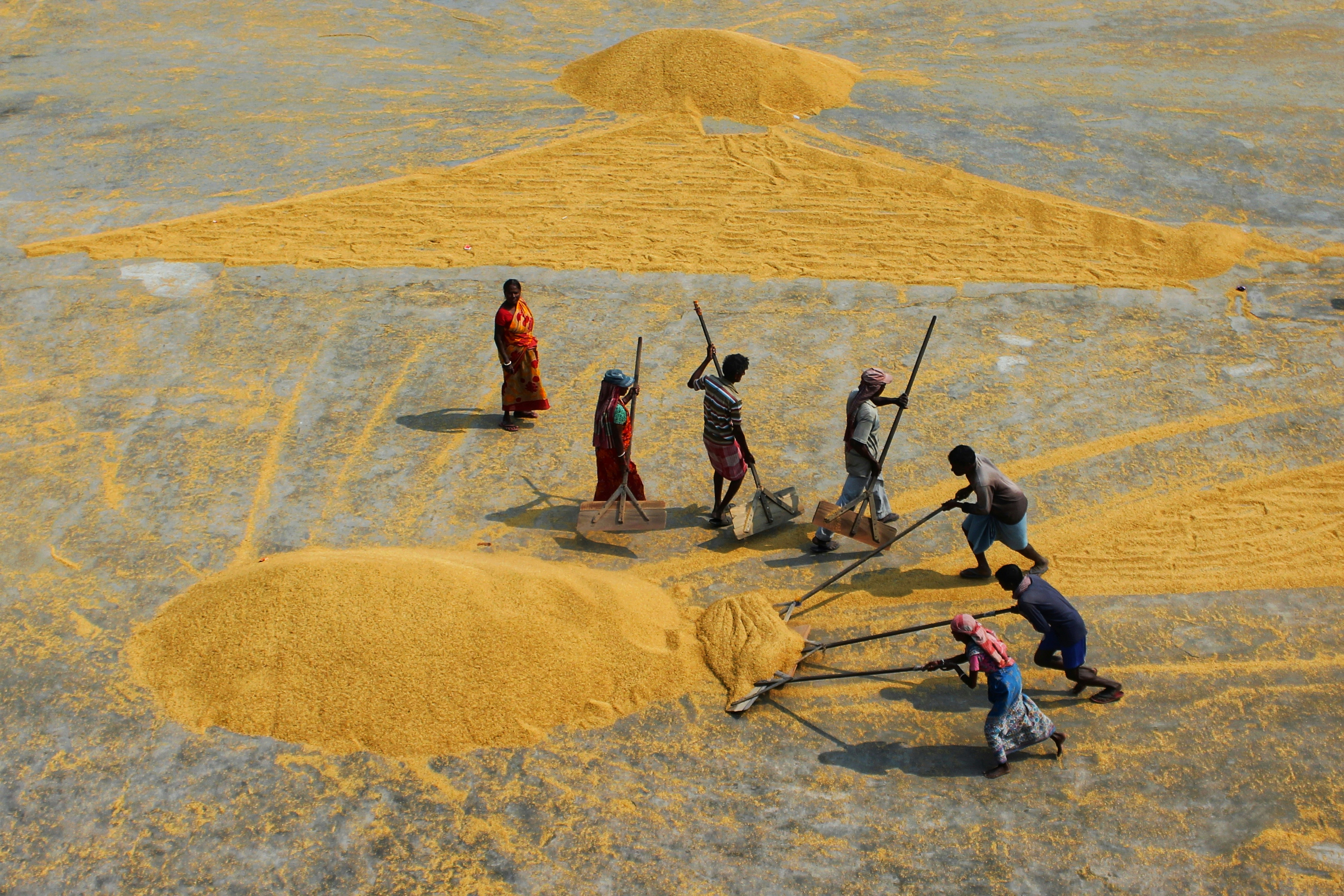 Photo by dibakar16roy