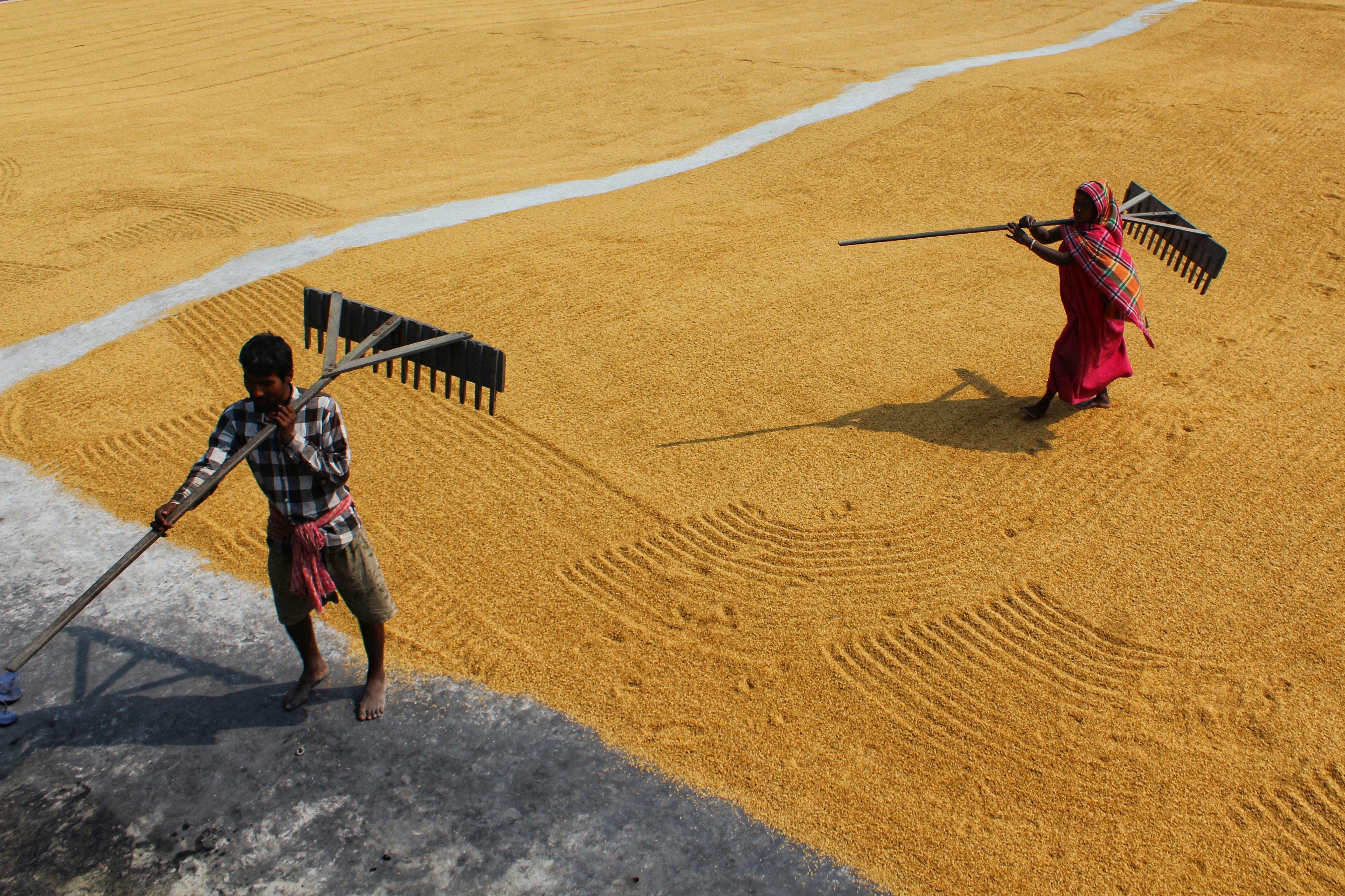 Photo by dibakar16roy