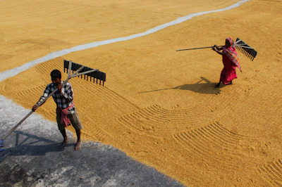 Khan Brothers team helping a farmer test new equipment in a sunlit field