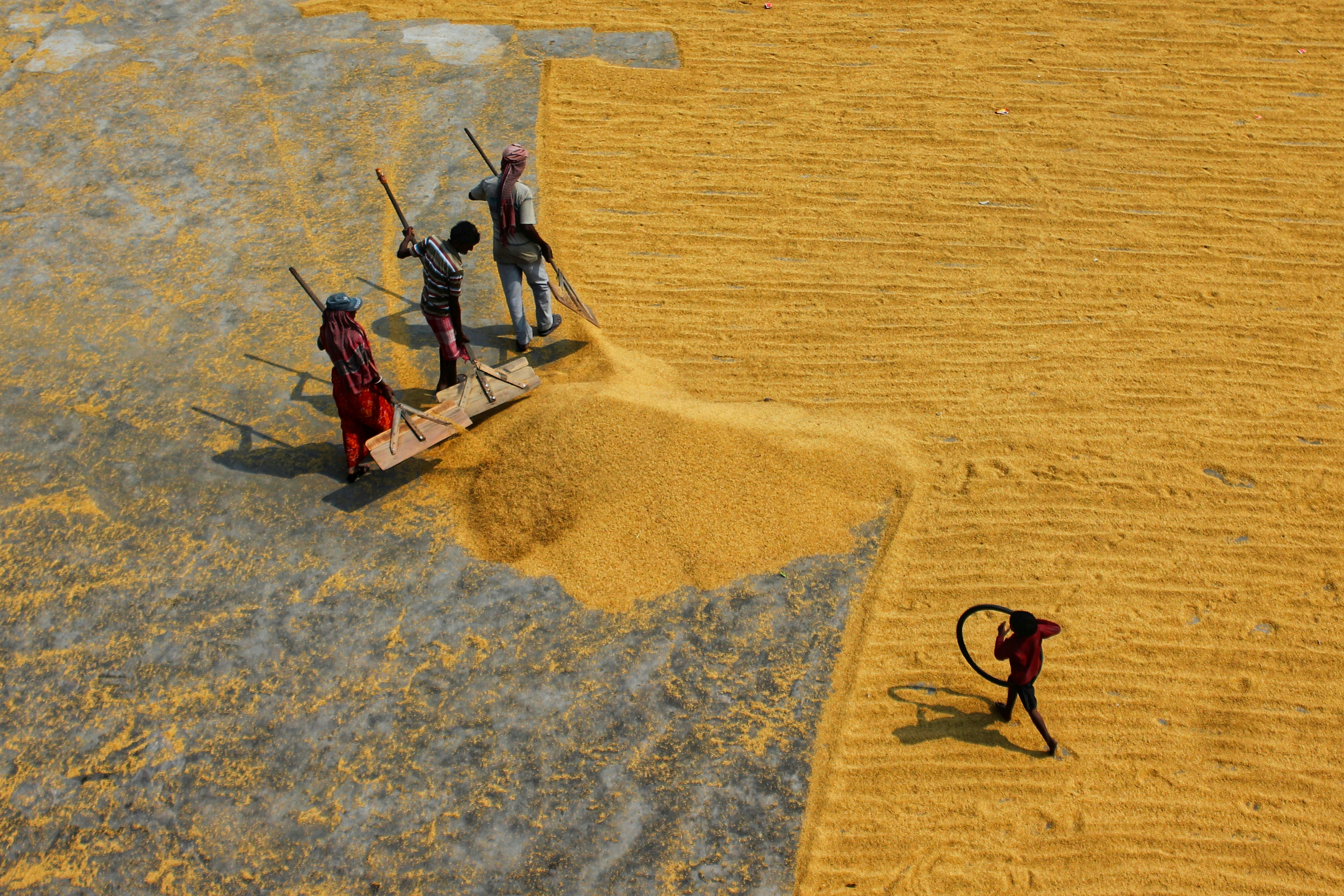 Photo by dibakar16roy