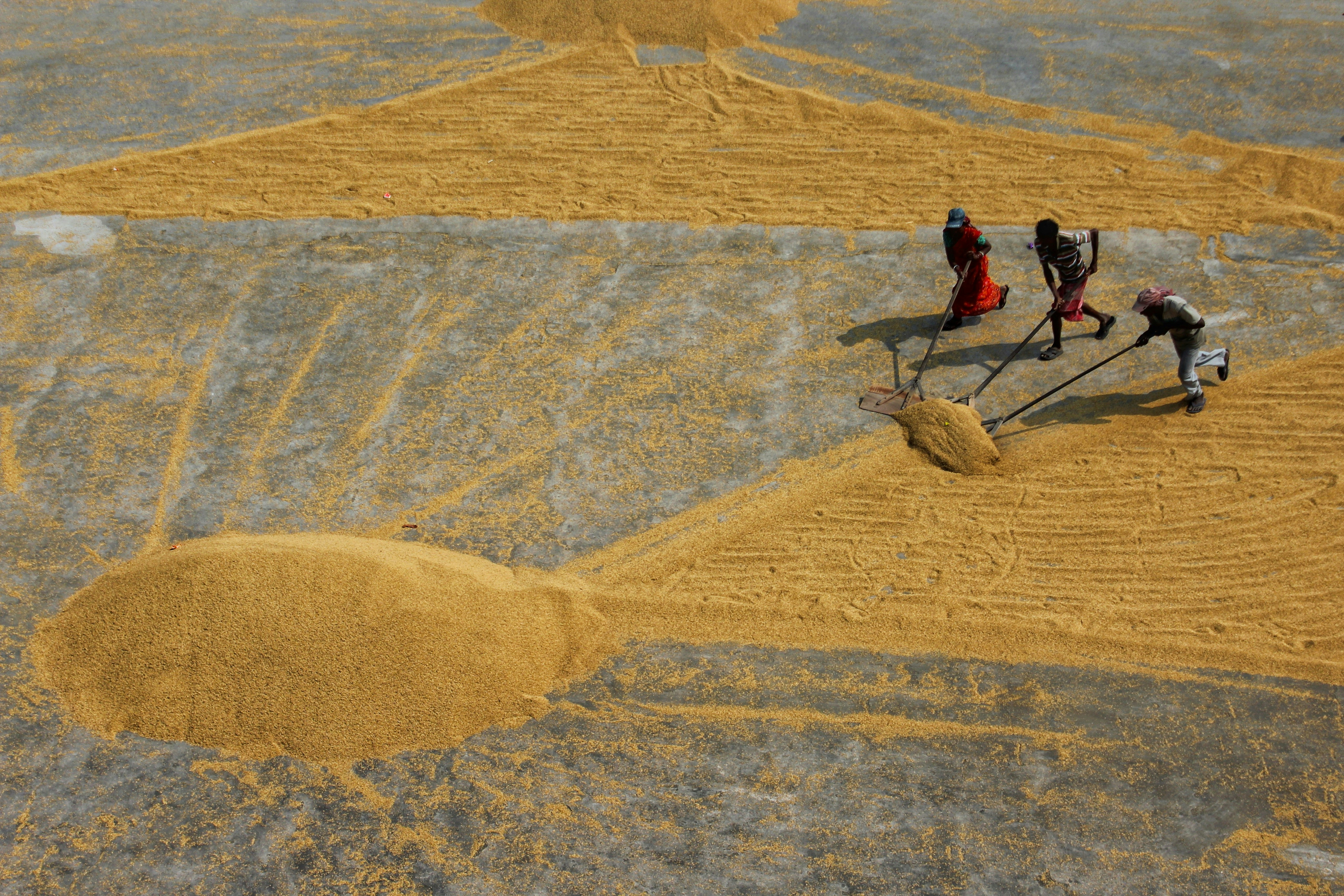 Photo by dibakar16roy