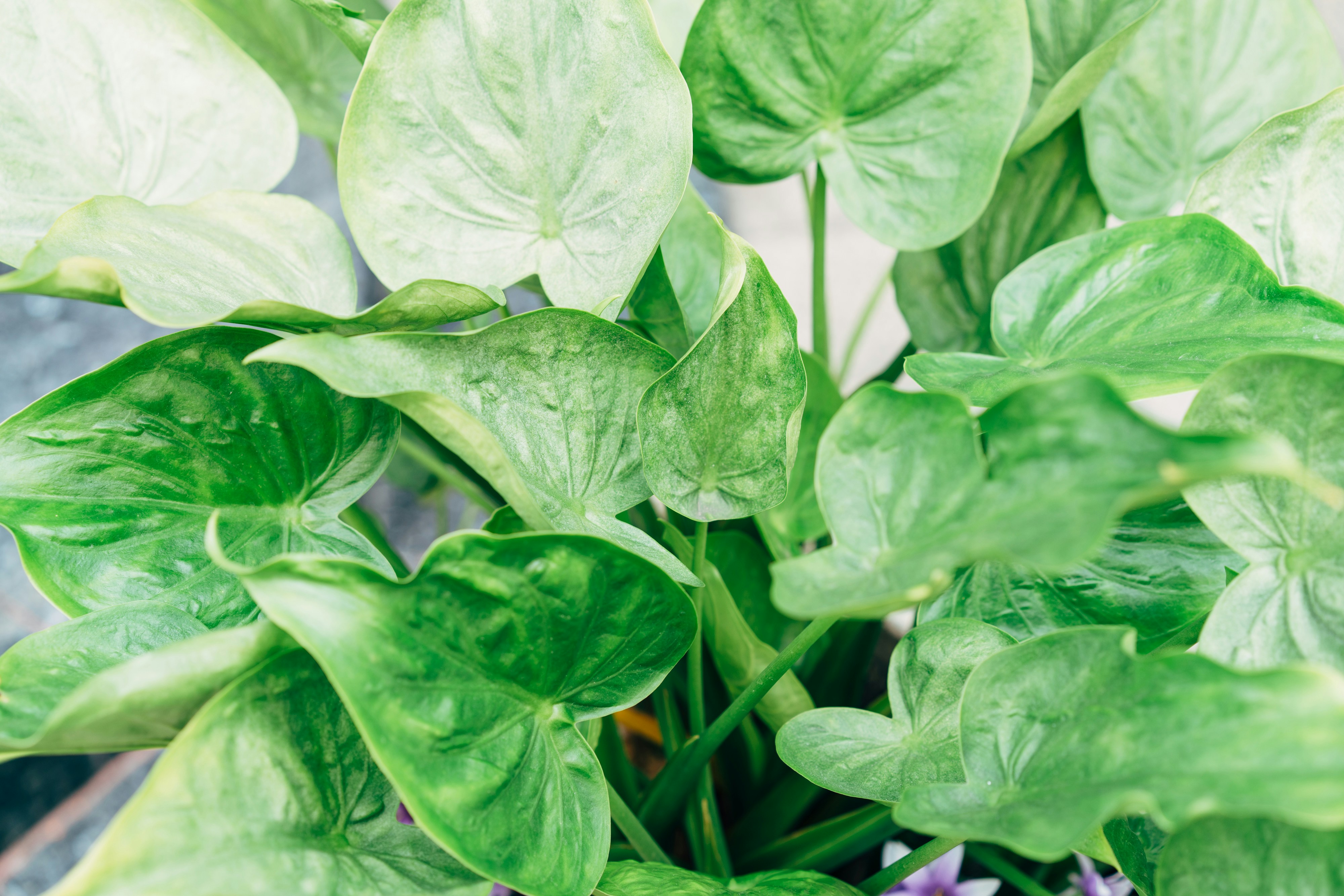 Photo by markuswinkler