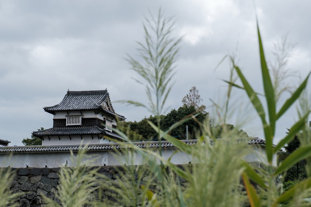 a building with a tower and trees in front of it