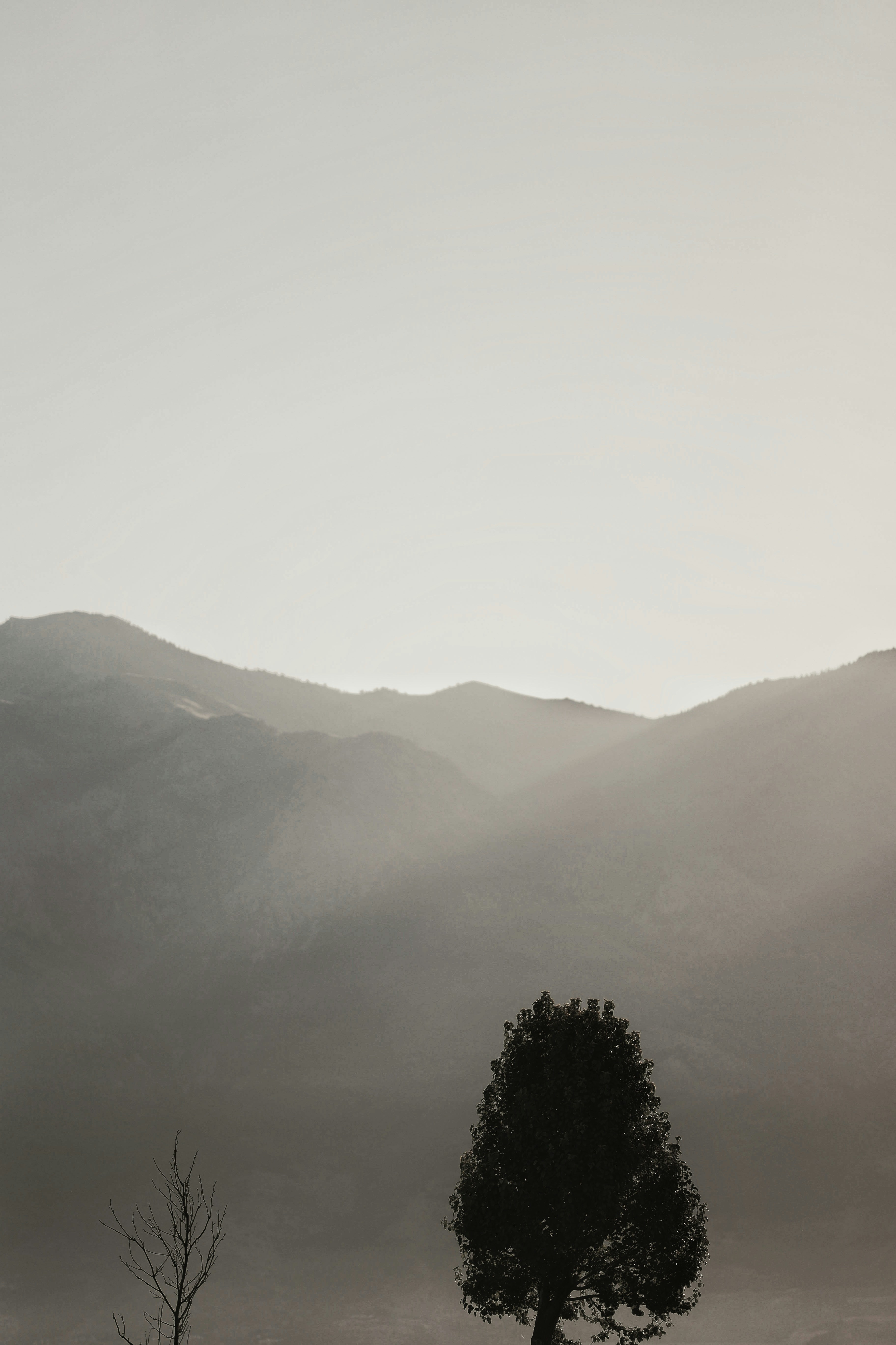 Photo by joshua_hoehne