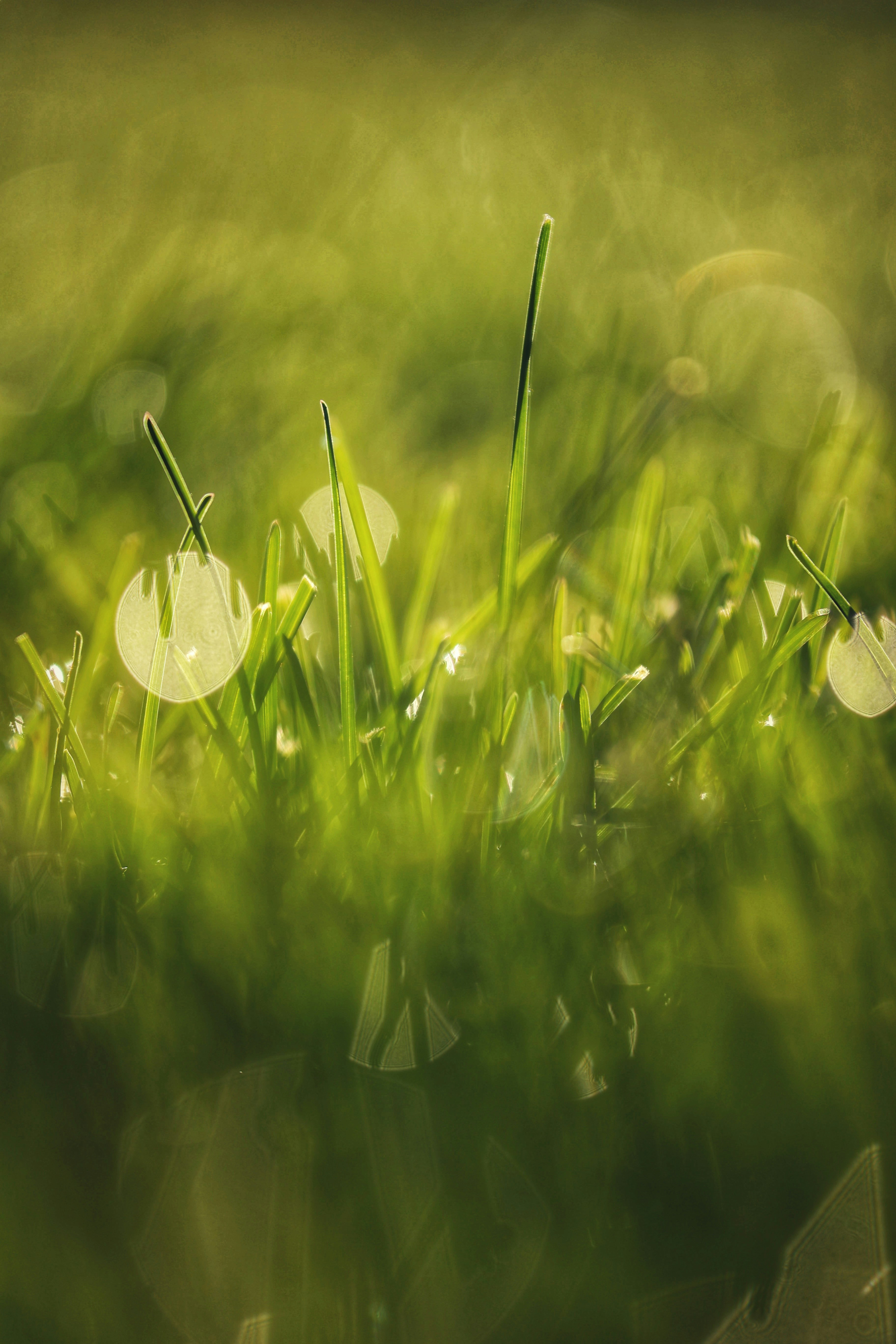 Photo by joshua_hoehne