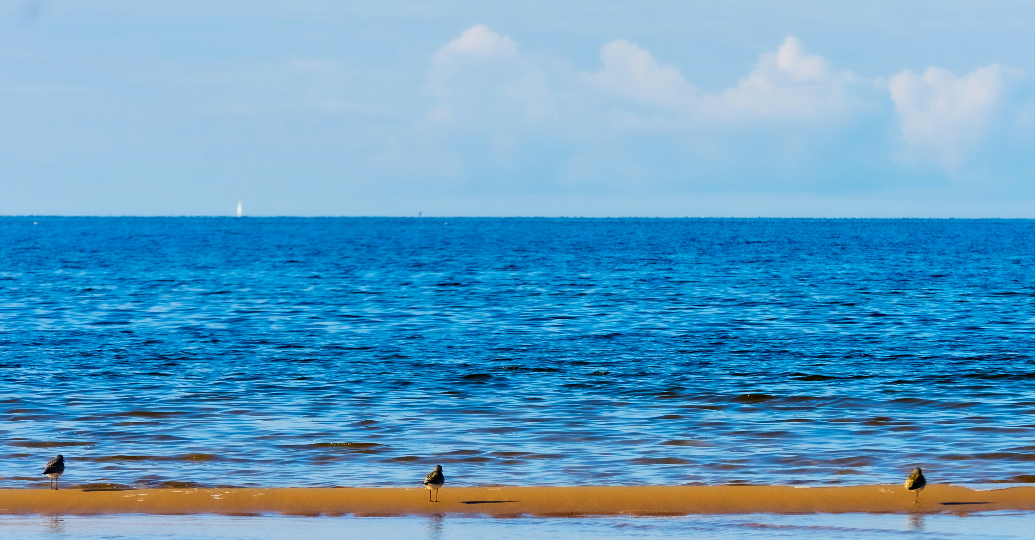 Photo by sergejs_horoshman