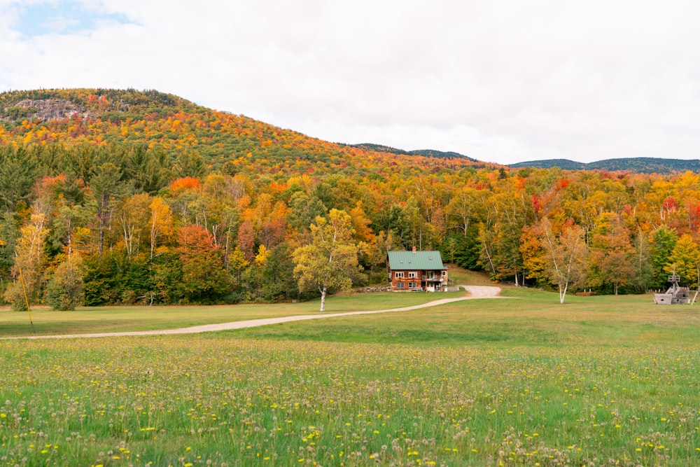 a house in a field of grass with trees in the back