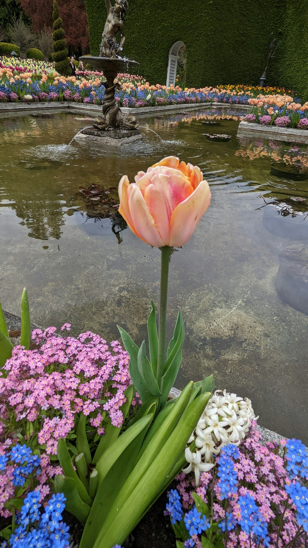 a pink flower in front of a pond with flowers