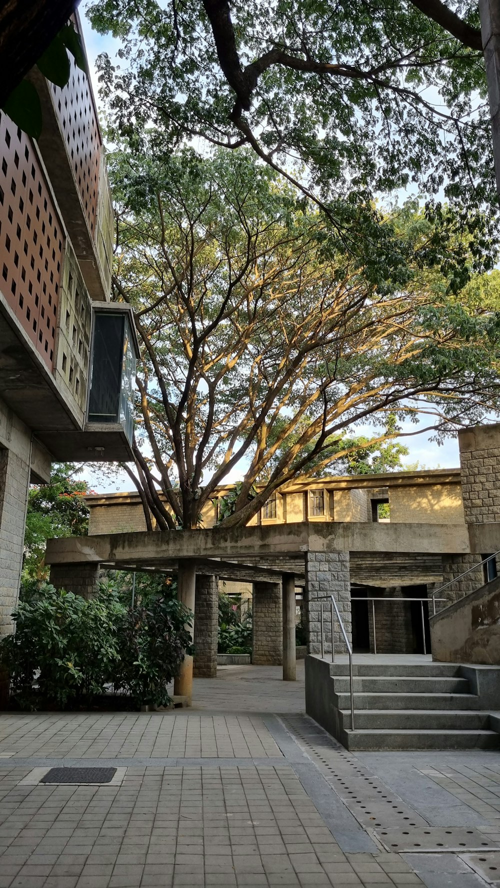 a building with a tree in the front