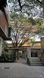 A serene courtyard with a prominent tree whose branches spread widely, casting a pattern of light and shadow on the ground. Surrounding the area are stone buildings with a modern architectural design, incorporating pillars and overhangs. Lush green foliage complements the man-made structures.