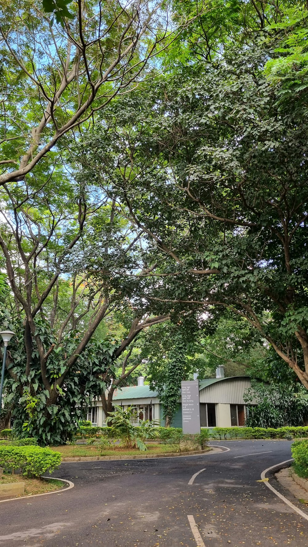 a house with trees around it