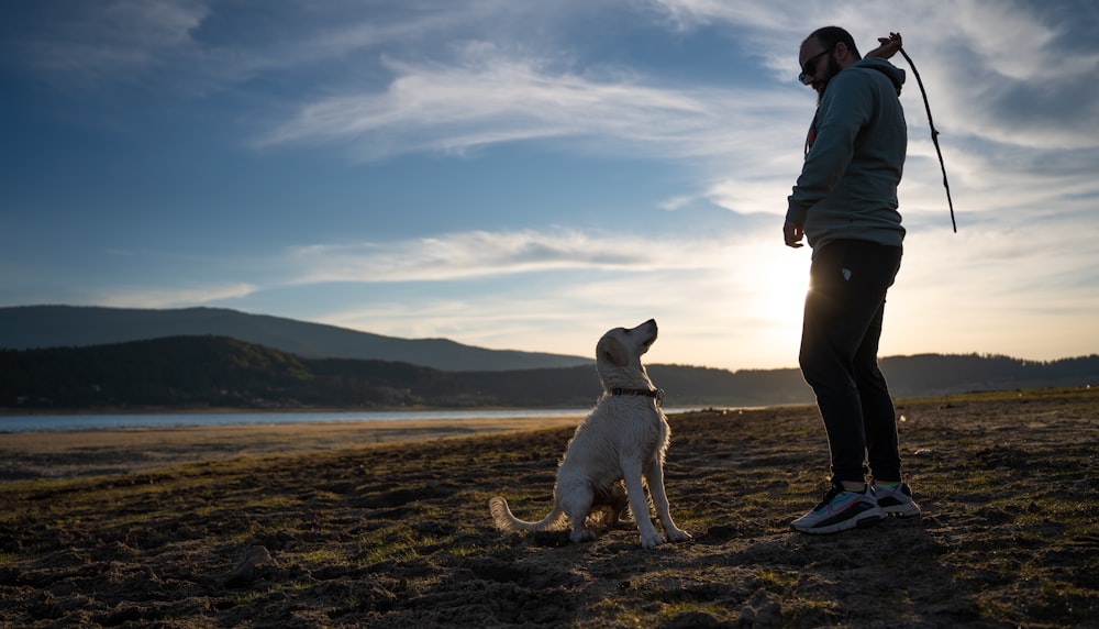 Un hombre y un perro en una playa