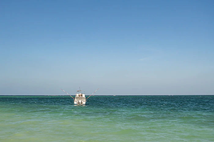 Isola di Robinson e Che Shale