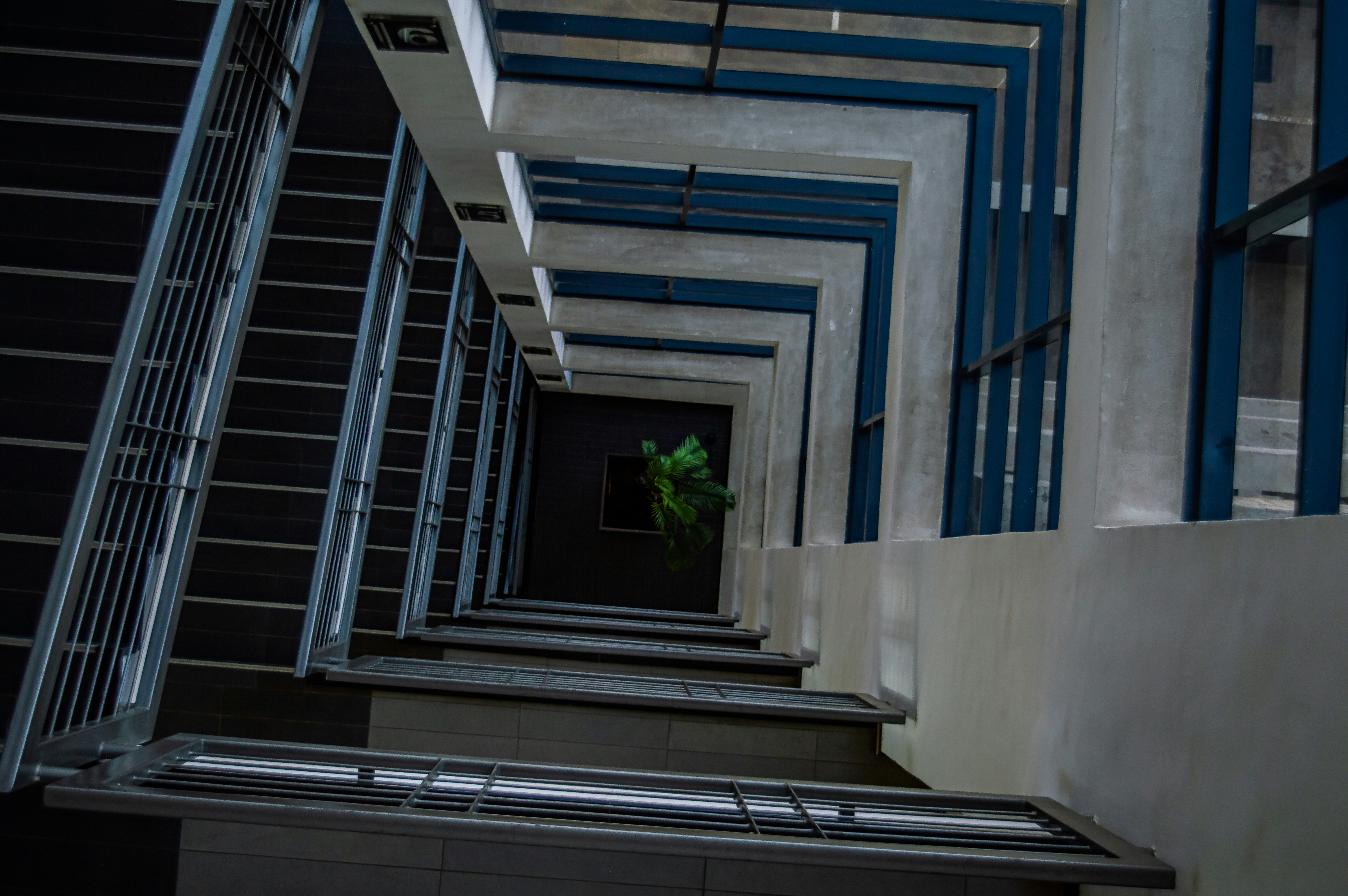 Photo by imsogabriel