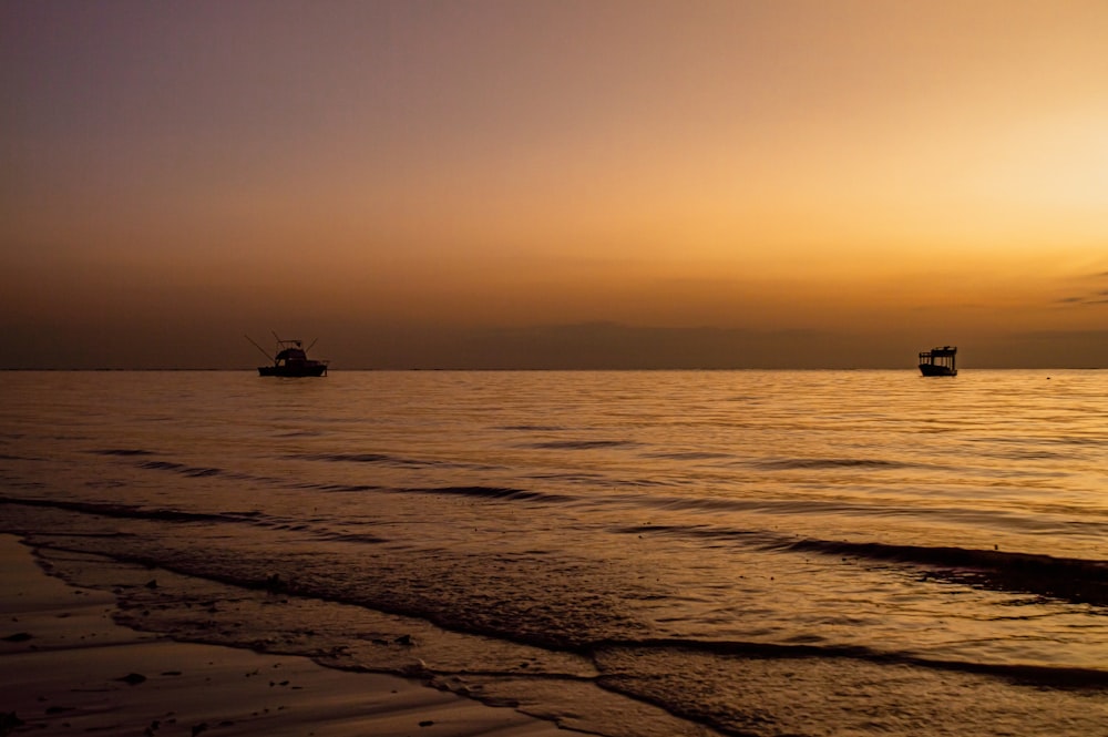 boats in the water