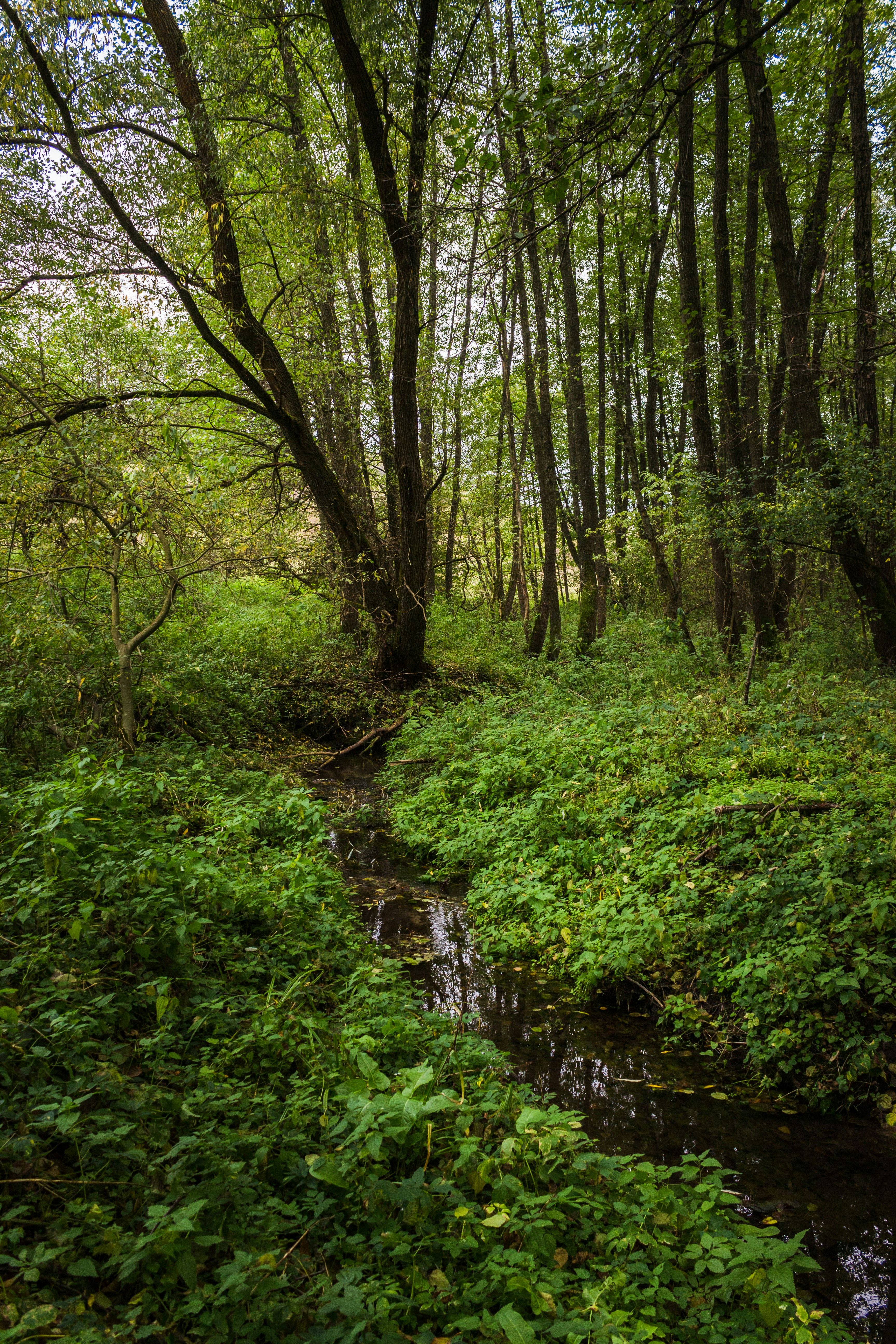 Photo by viktorsmoliak