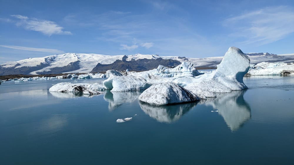 icebergs in the water