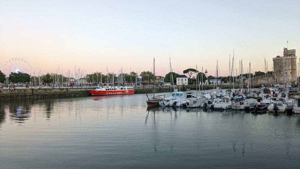 a group of boats in a harbor