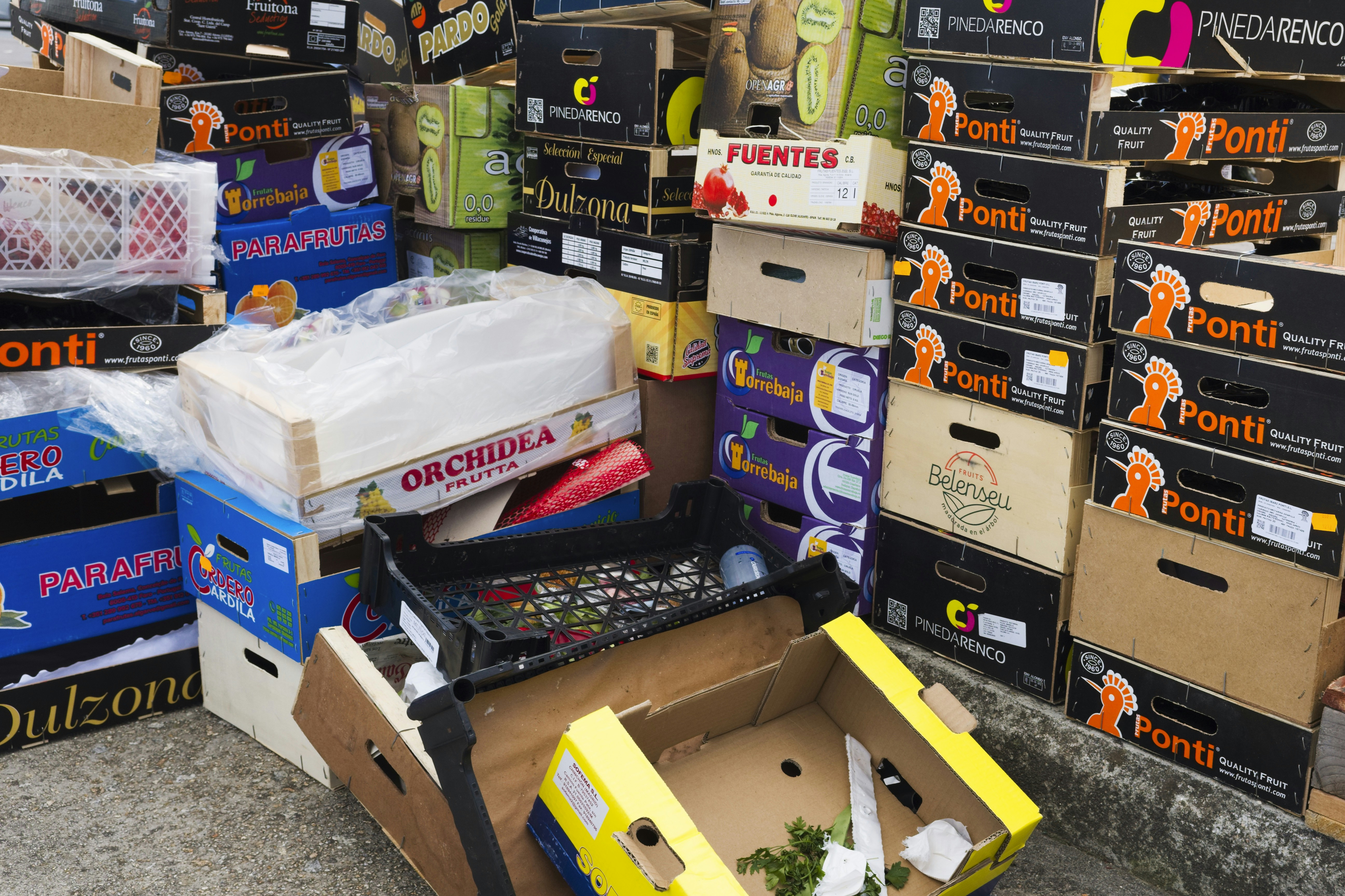 A clearly organized collection of essential emergency supplies for a family of four, ready for home evacuation.