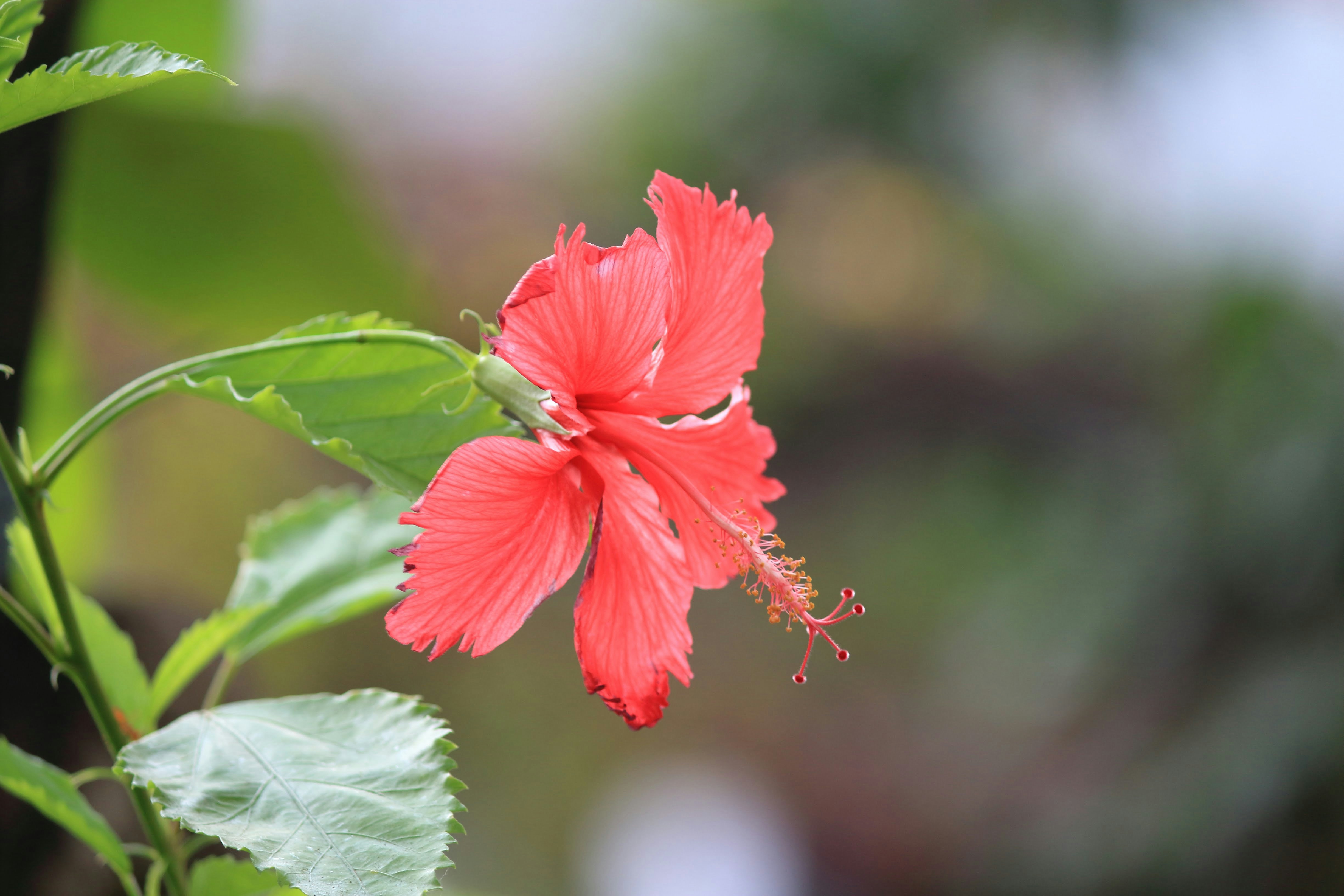 Photo by sdphotography212