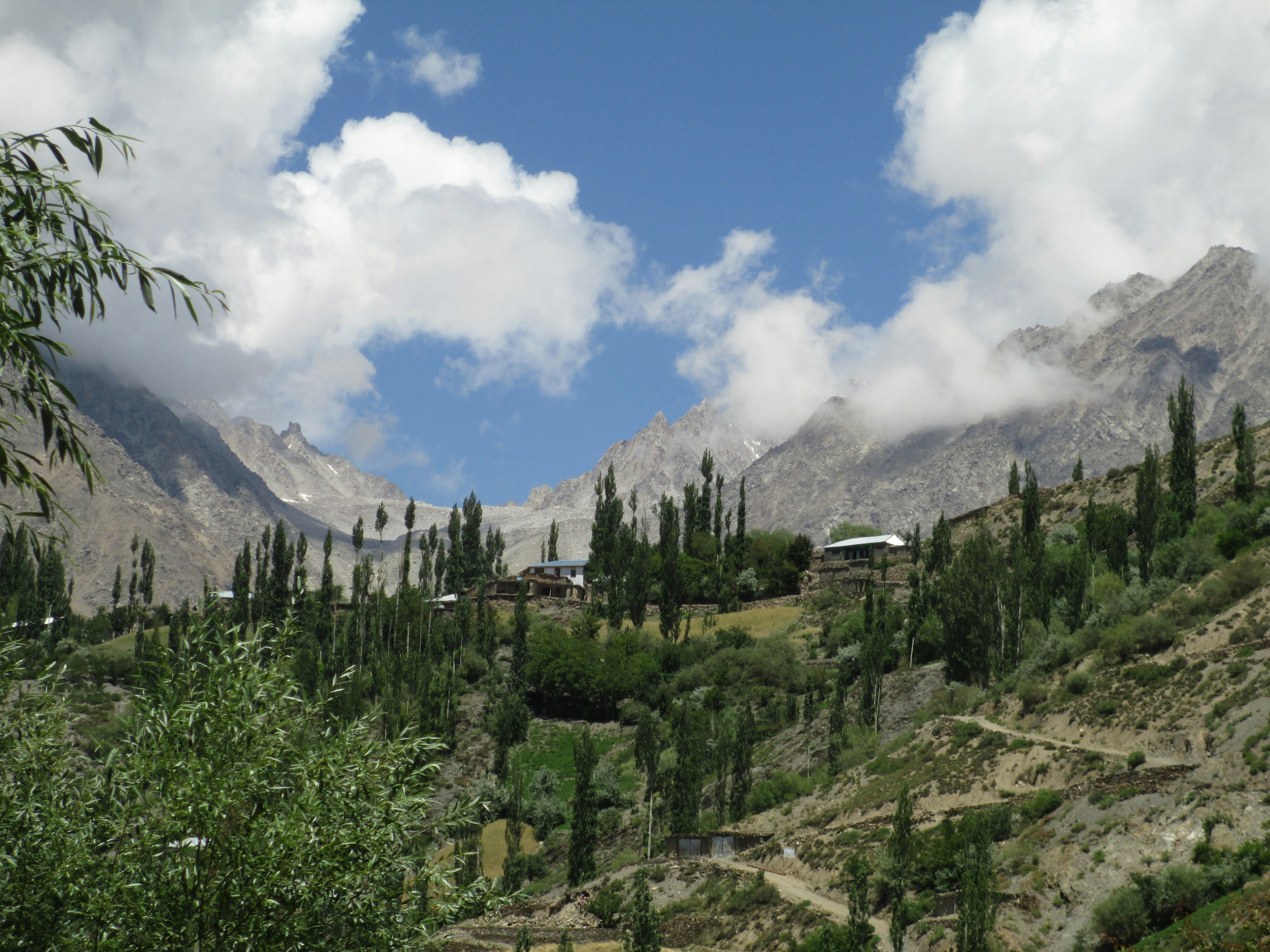 a landscape with trees and mountains