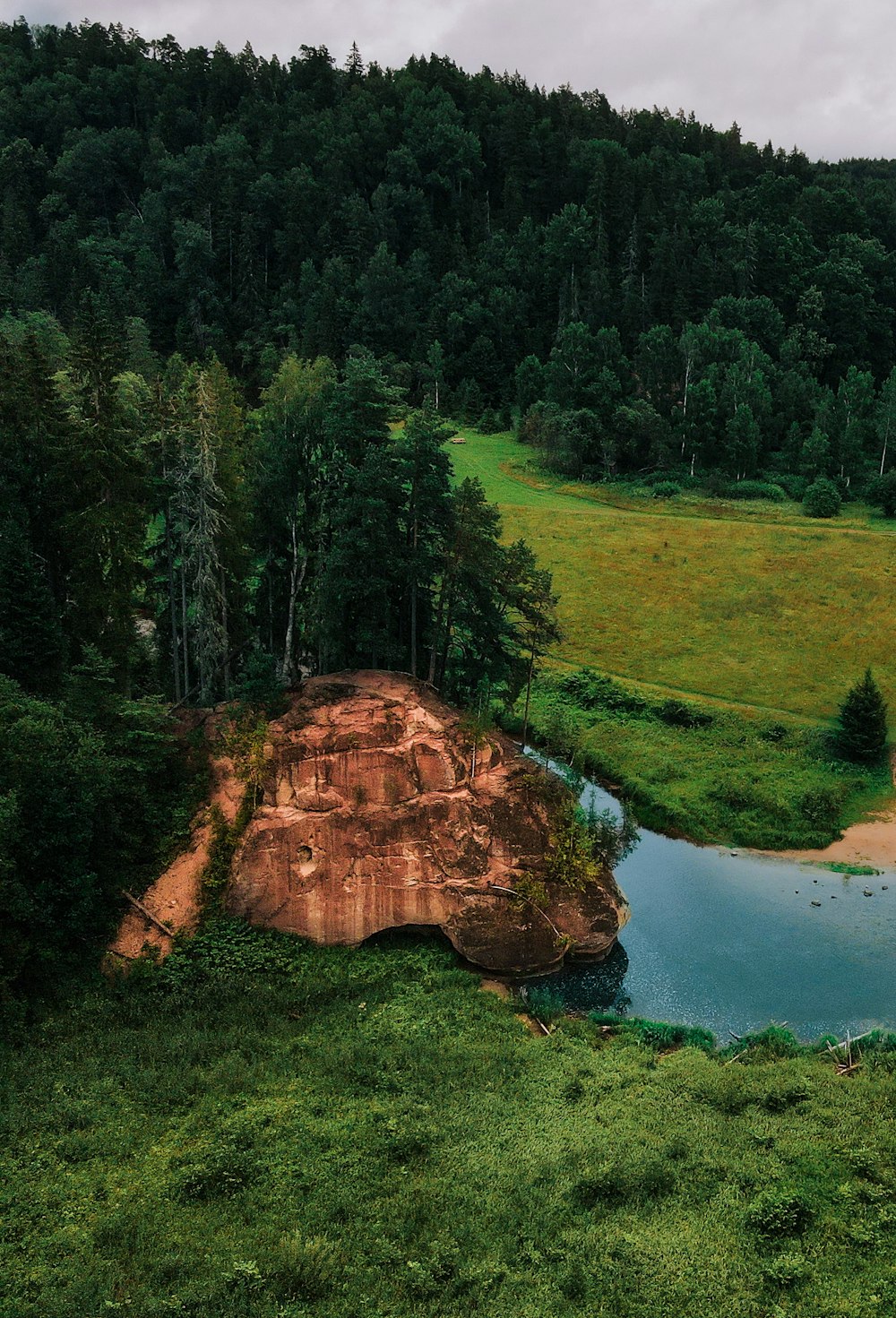 a large rock in a forest