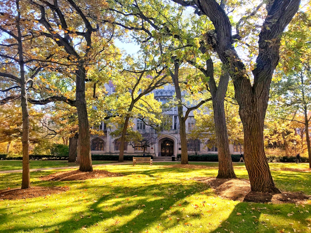 a large building with trees in front of it