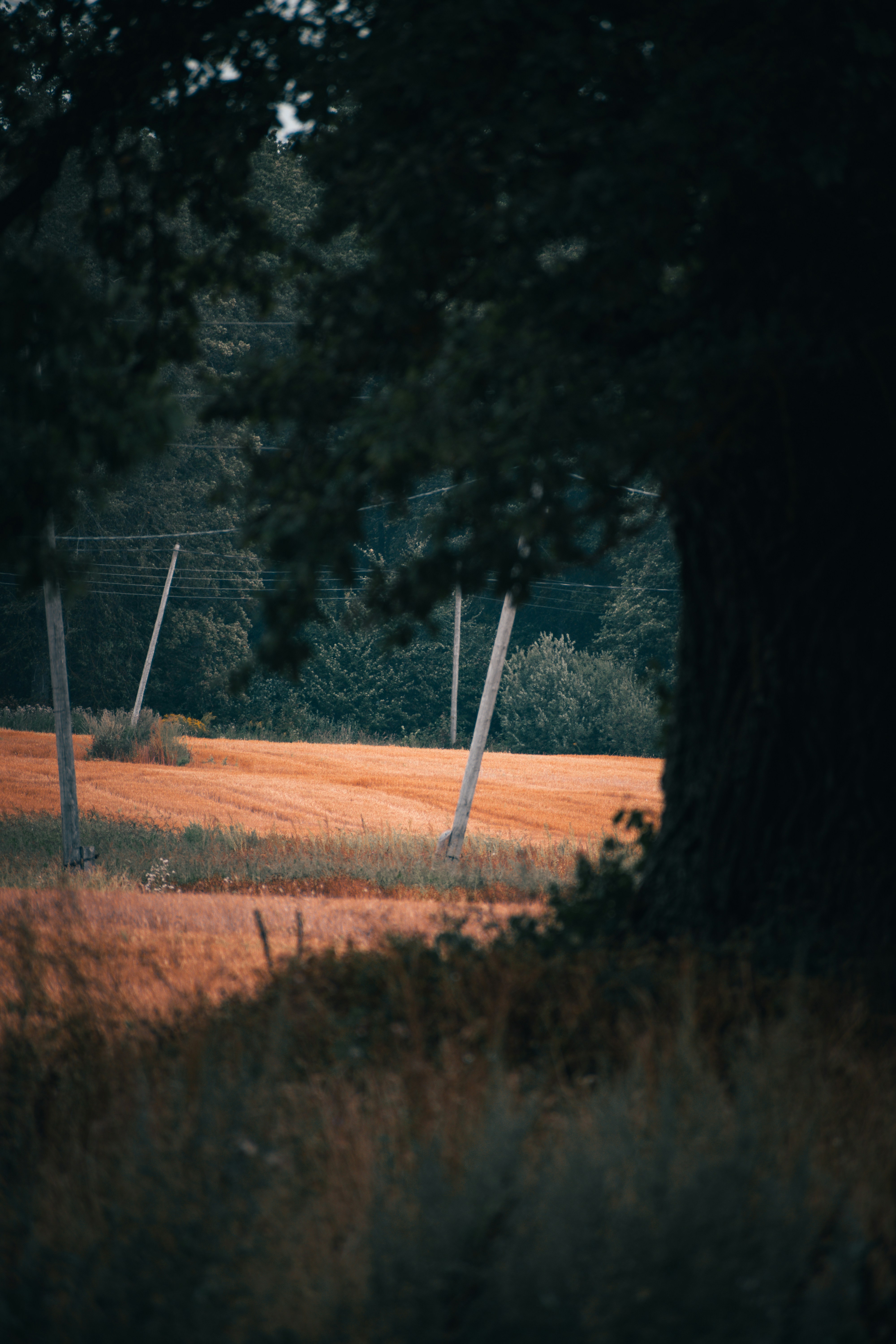 Photo by christina_kozak