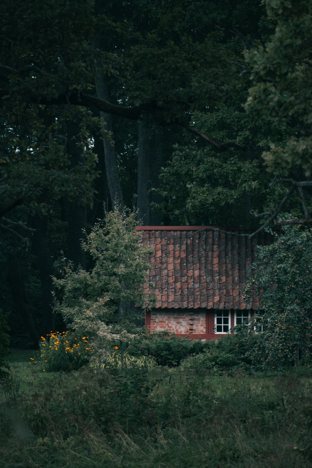 a brick house in the woods