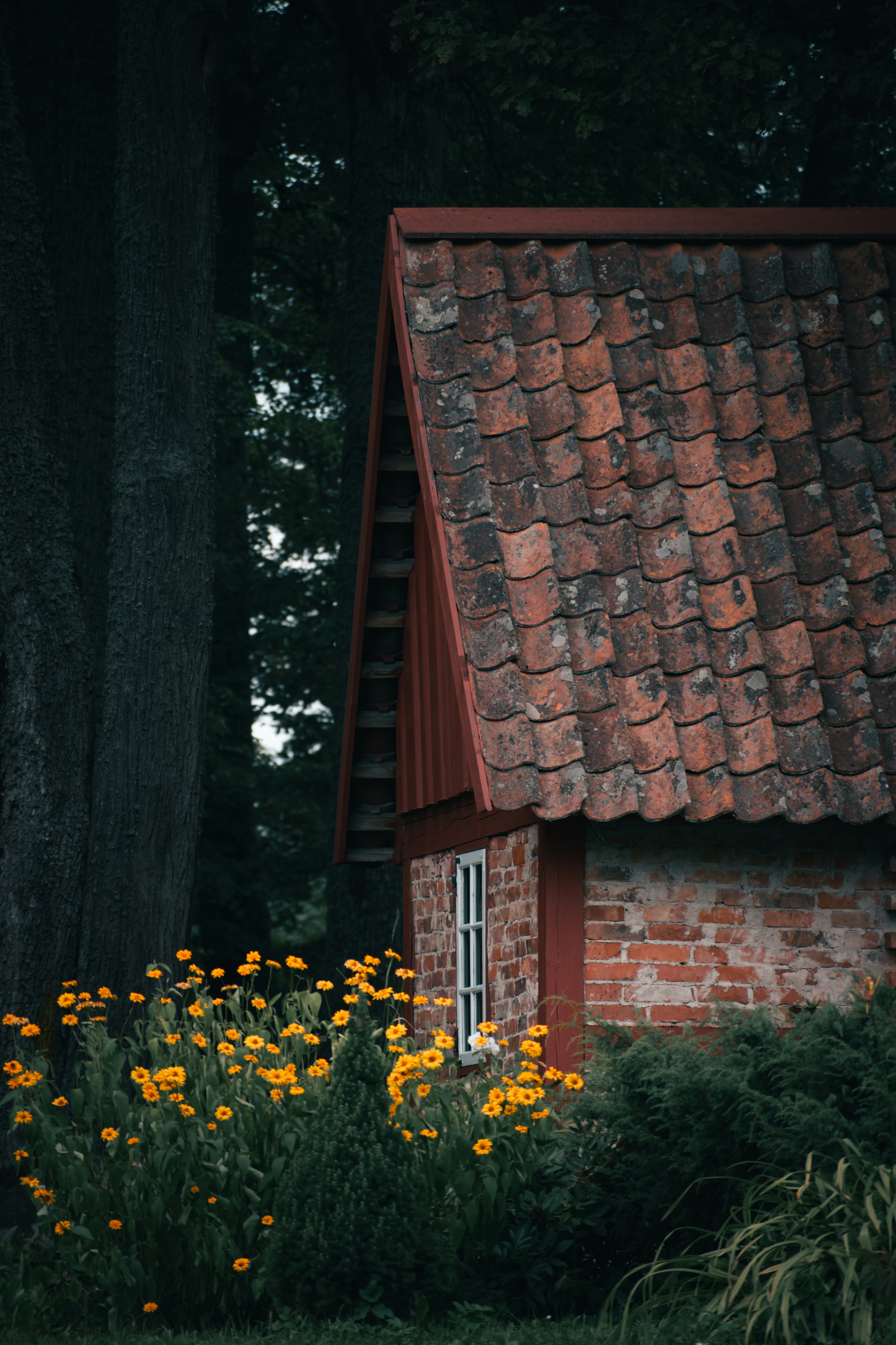 Photo by christina_kozak