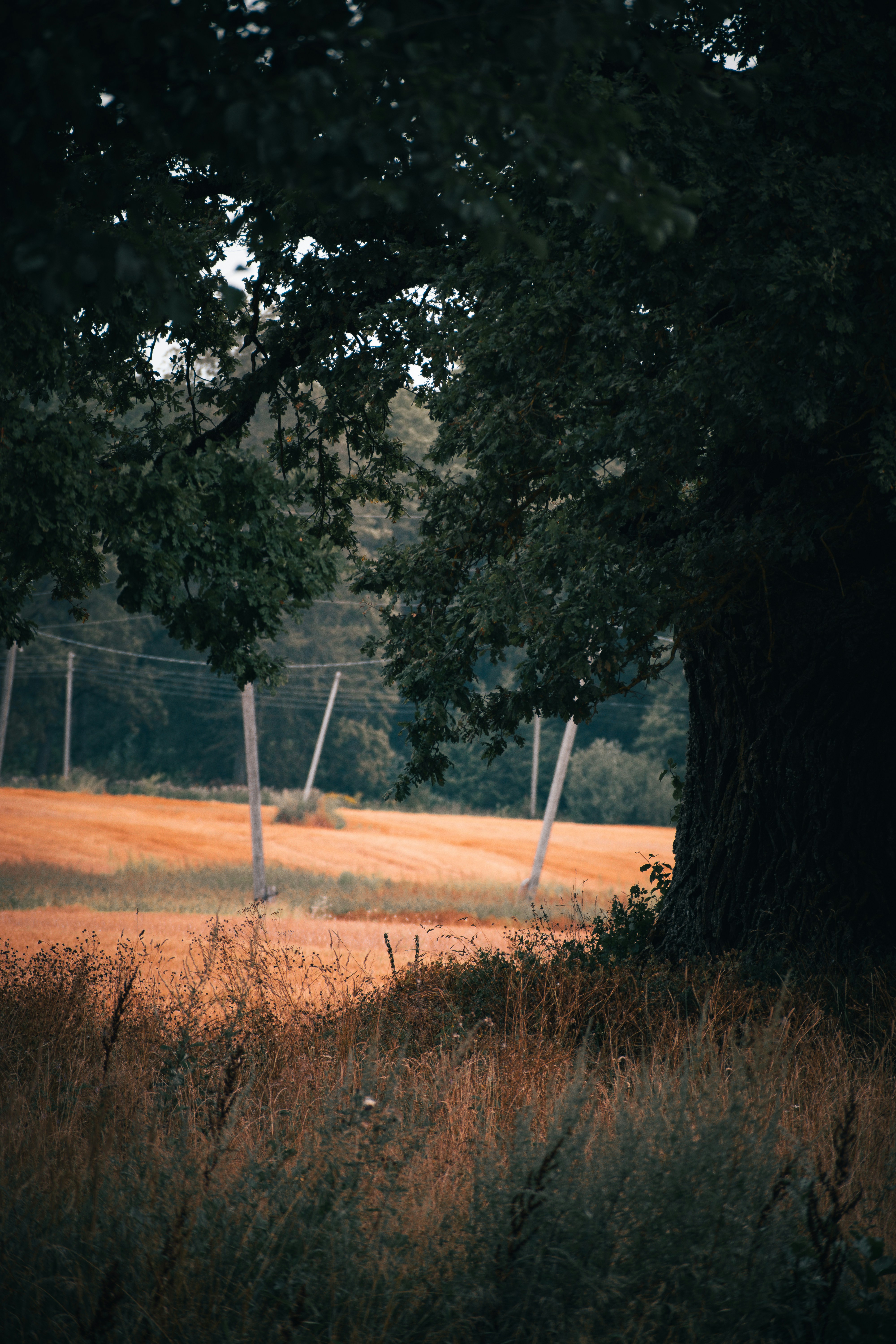 Photo by christina_kozak