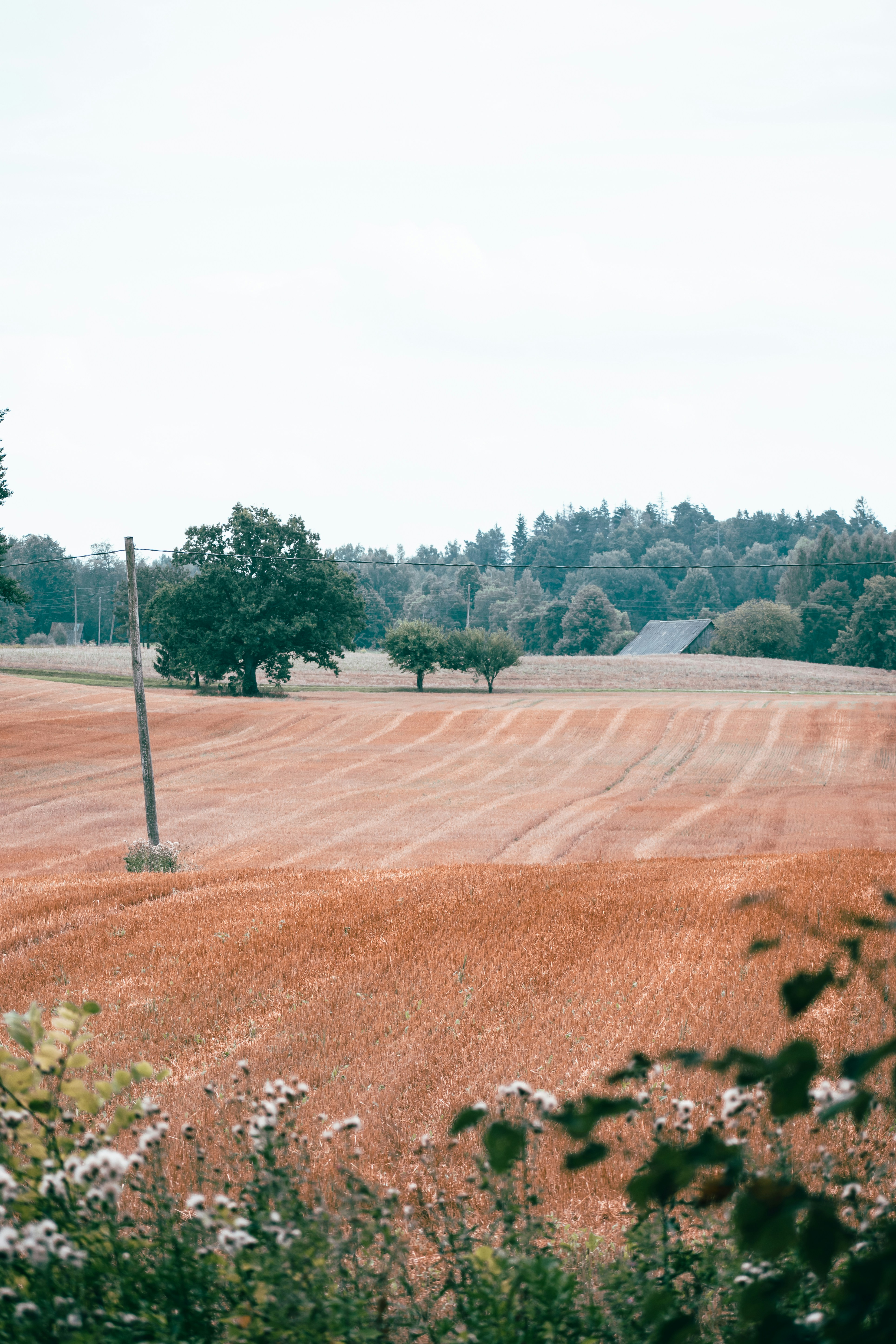 Photo by christina_kozak