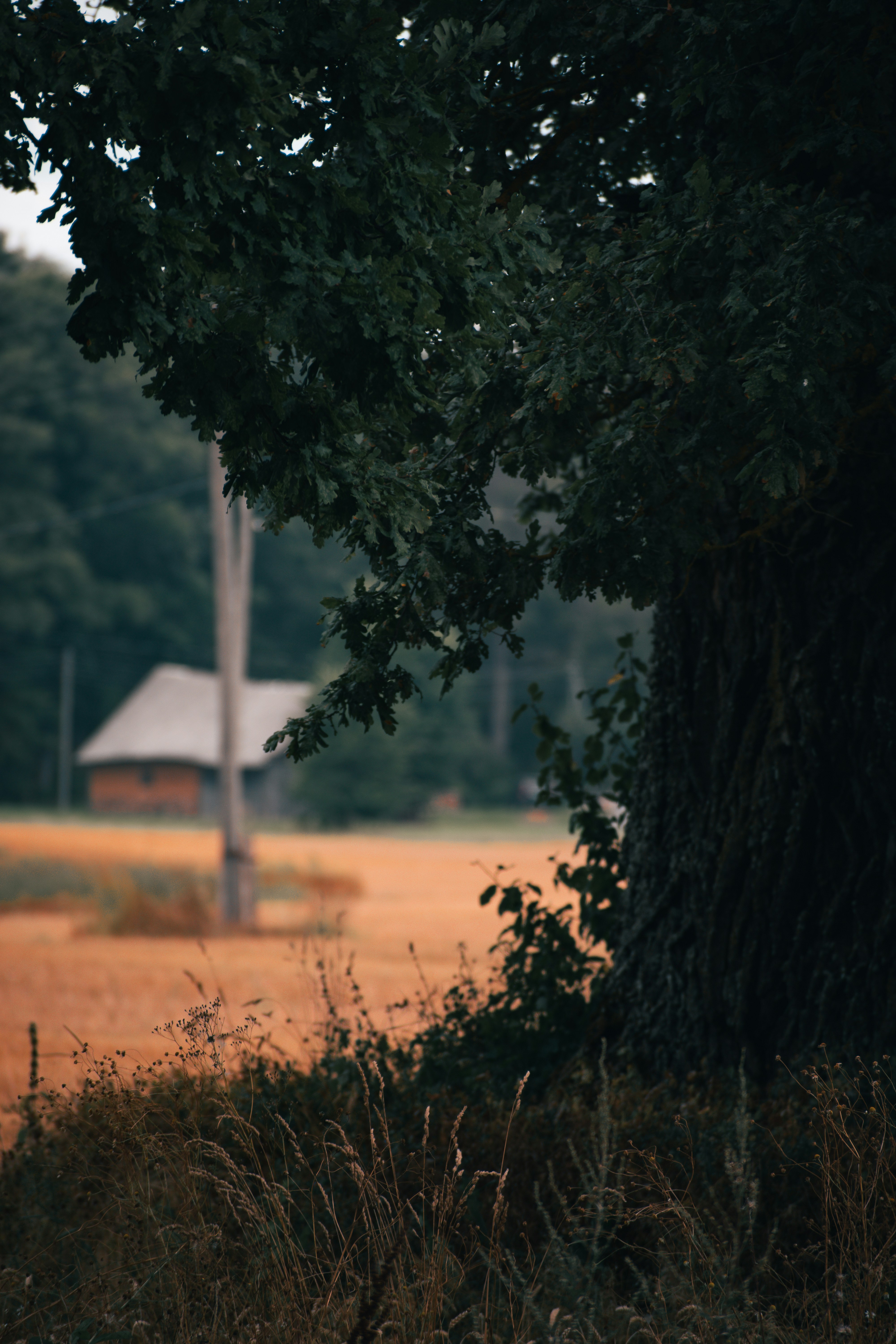 Photo by christina_kozak