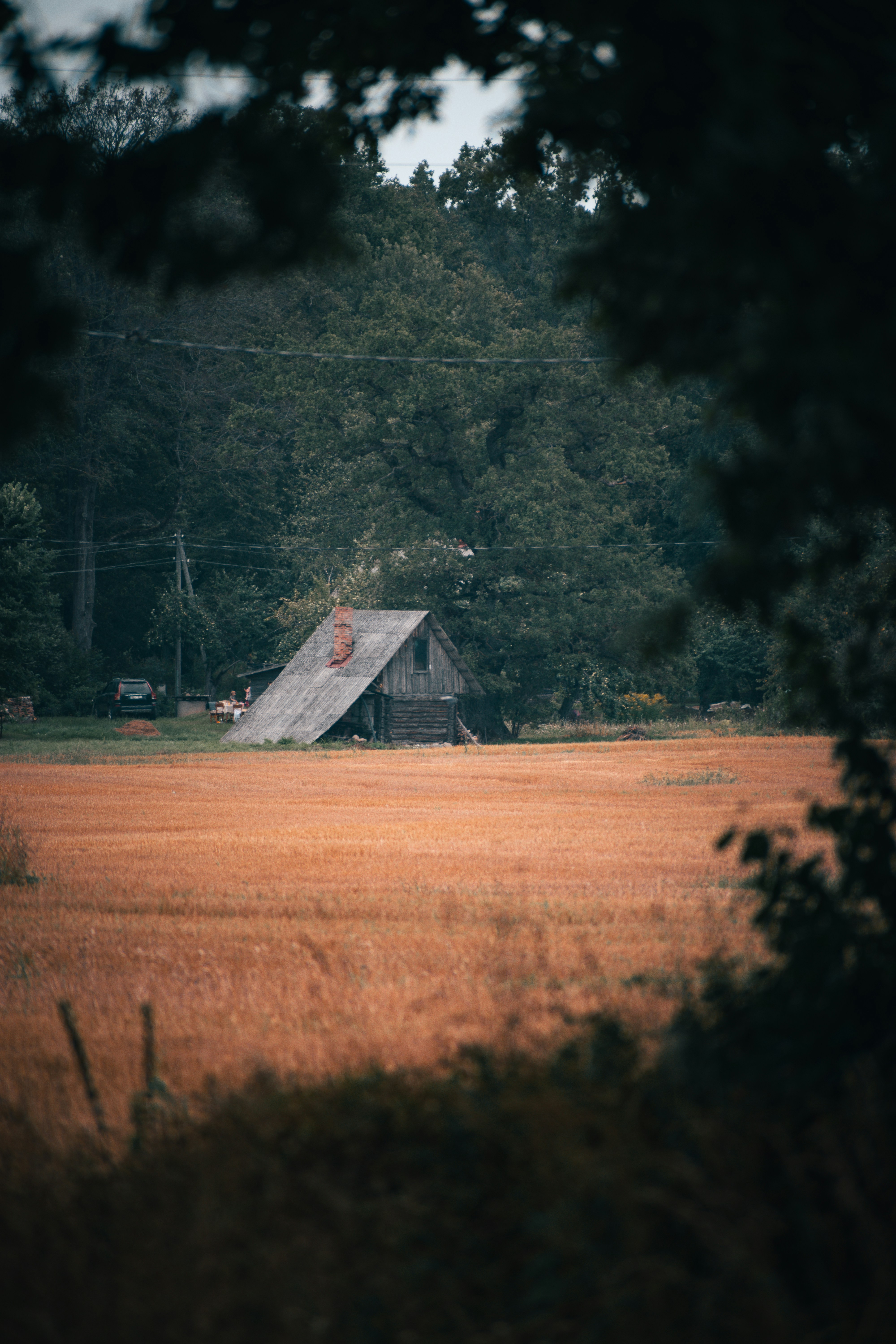 Photo by christina_kozak